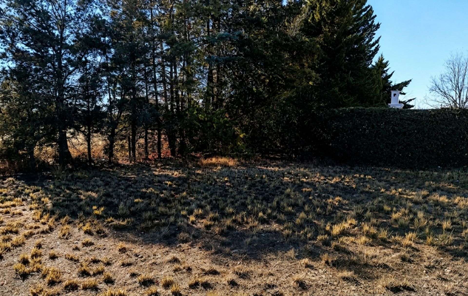 Lote en Venta en Lujan de Cuyo, Mendoza