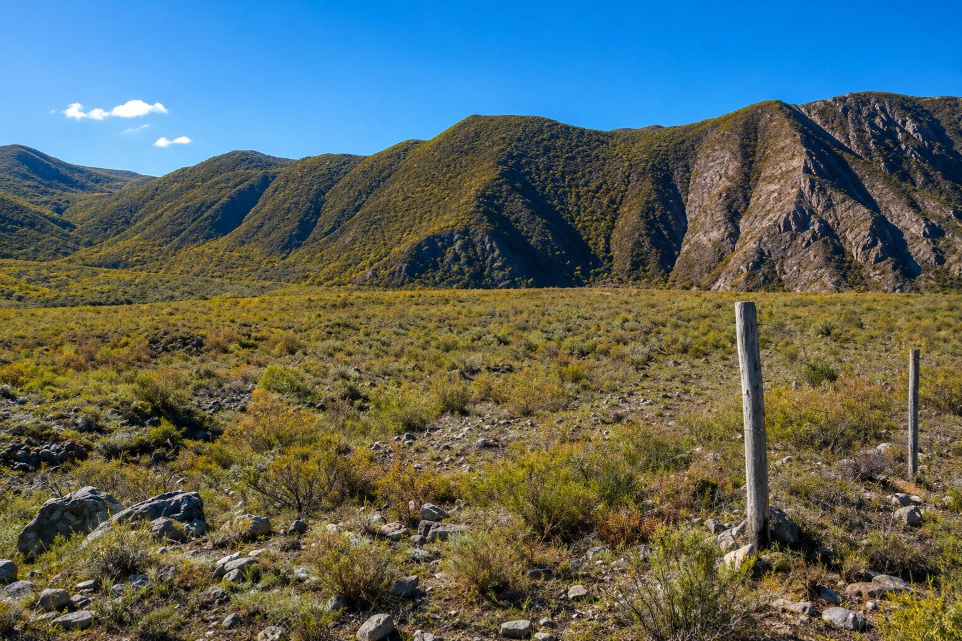 Lote en Venta en Lujan de Cuyo, Mendoza