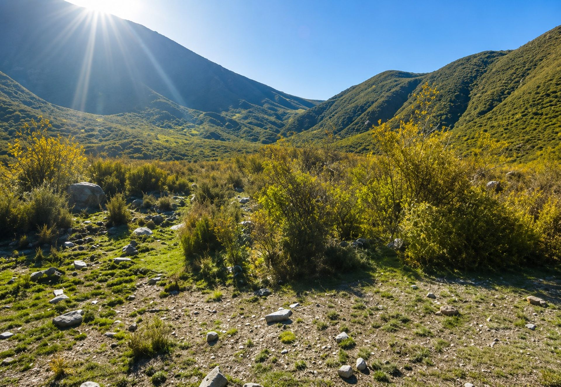 Lote en Venta en Lujan de Cuyo, Mendoza
