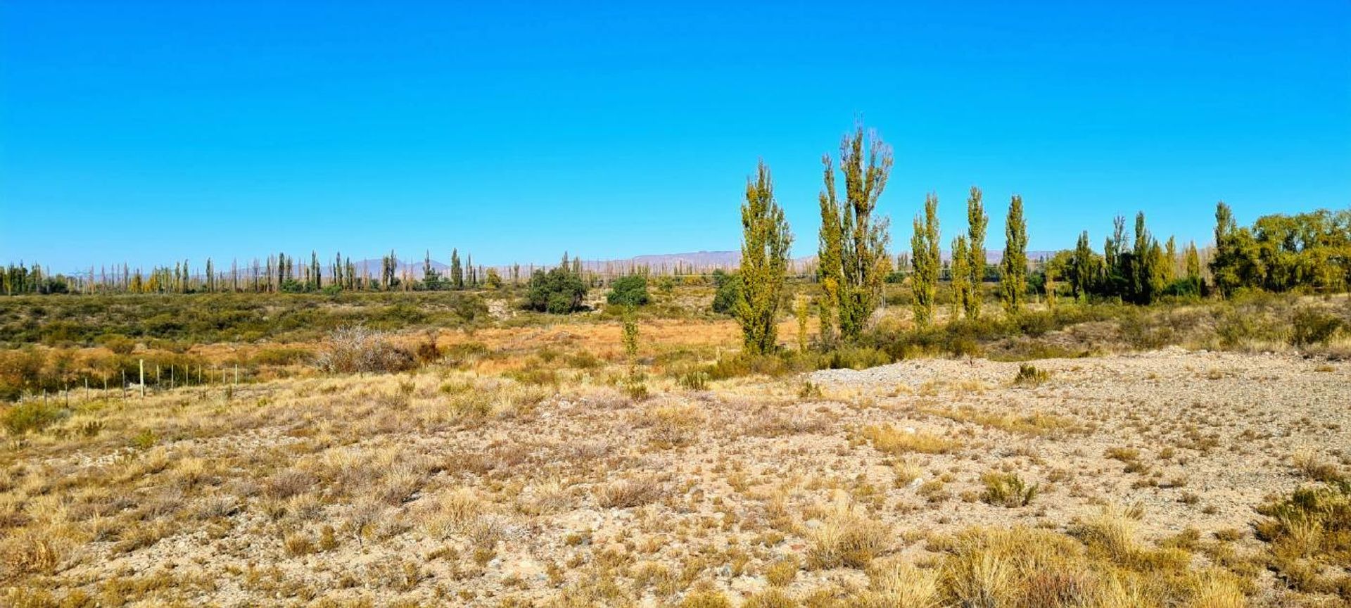 Casa en Venta en San Rafael, Mendoza
