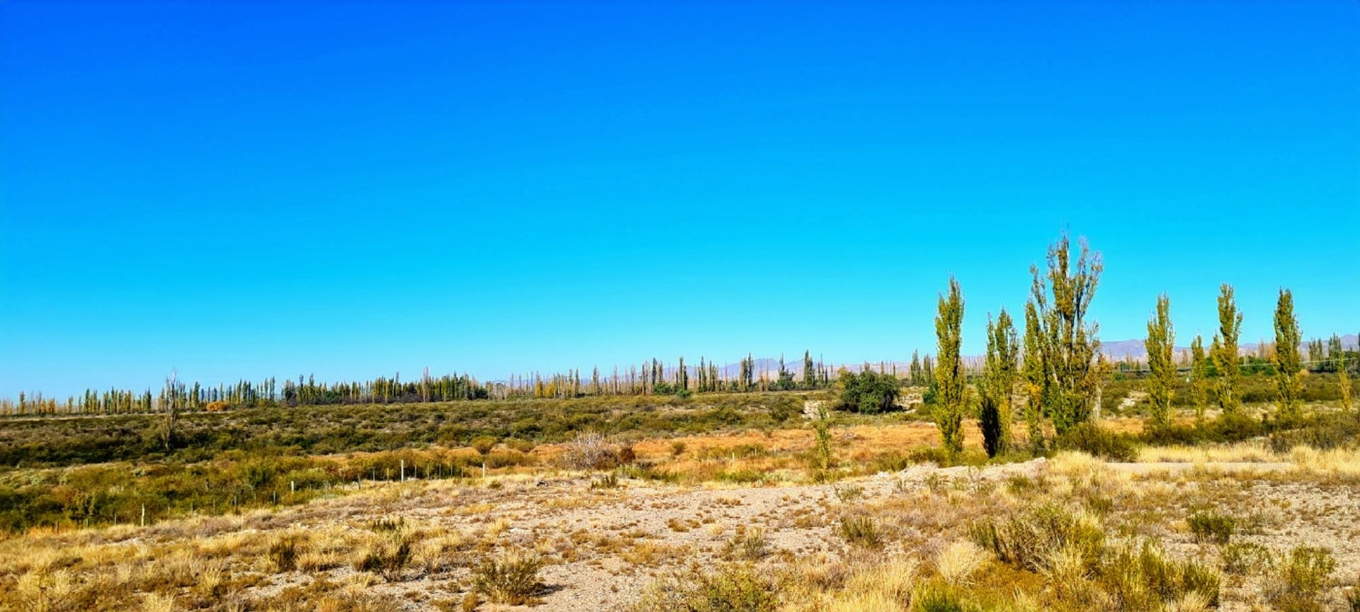 Casa en Venta en San Rafael, Mendoza