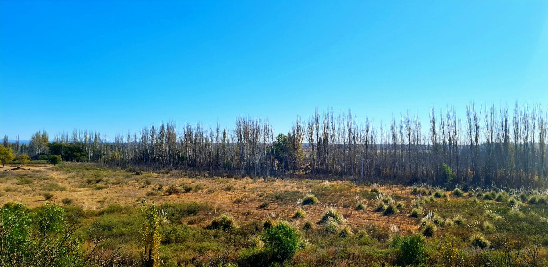 Casa en Venta en San Rafael, Mendoza