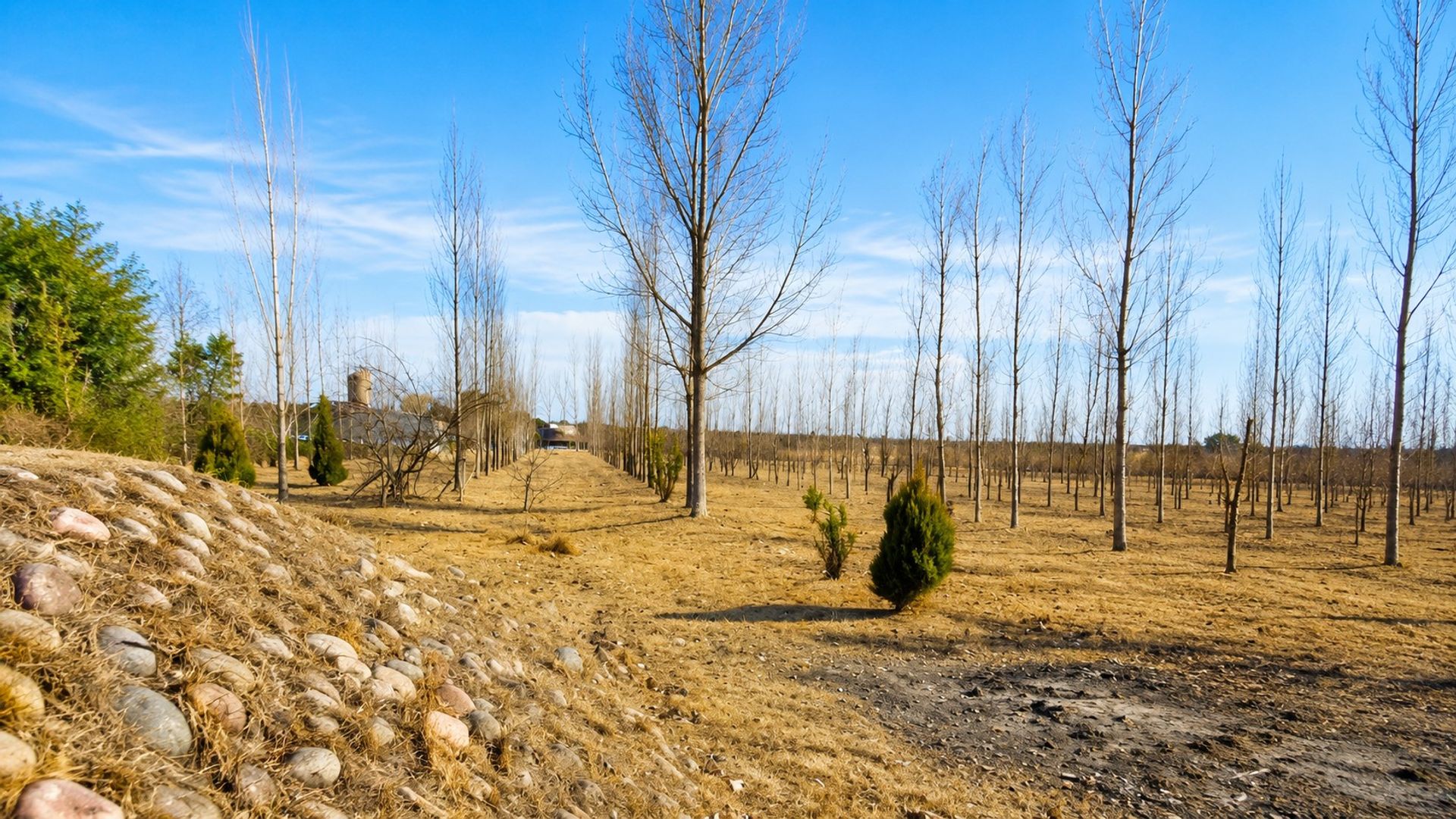 Casa en Venta en Maipu, Mendoza