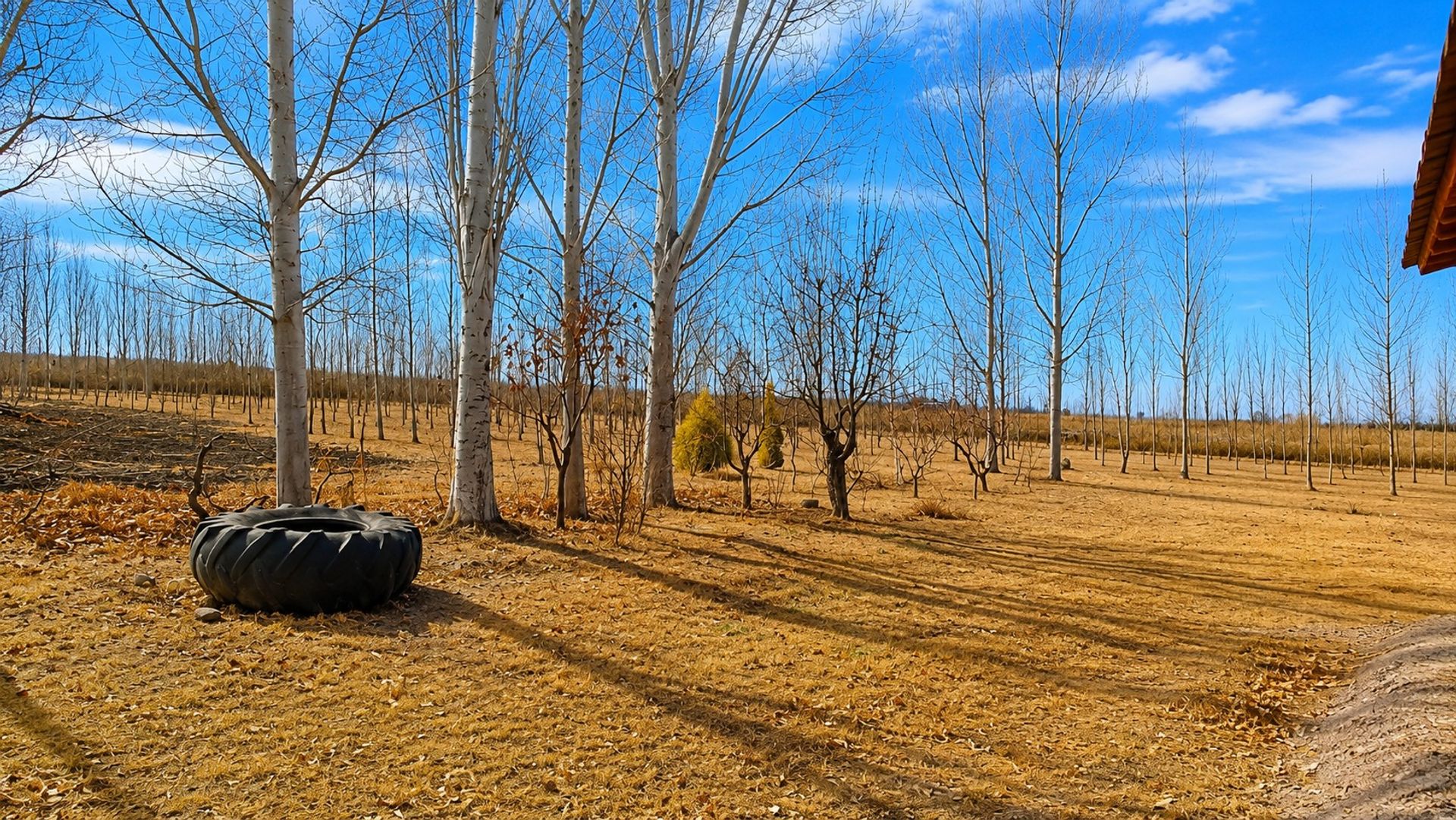 Casa en Venta en Maipu, Mendoza