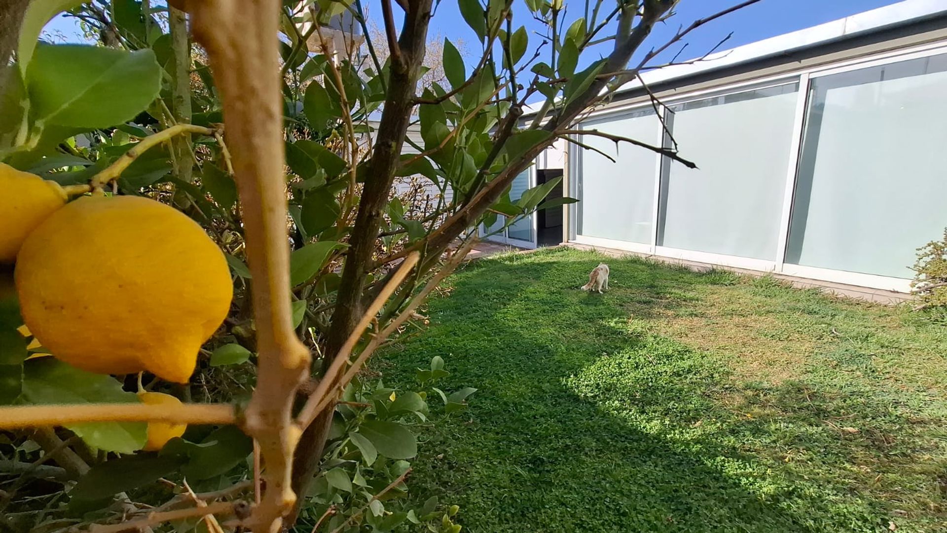 Casa en Venta en Godoy Cruz, Mendoza