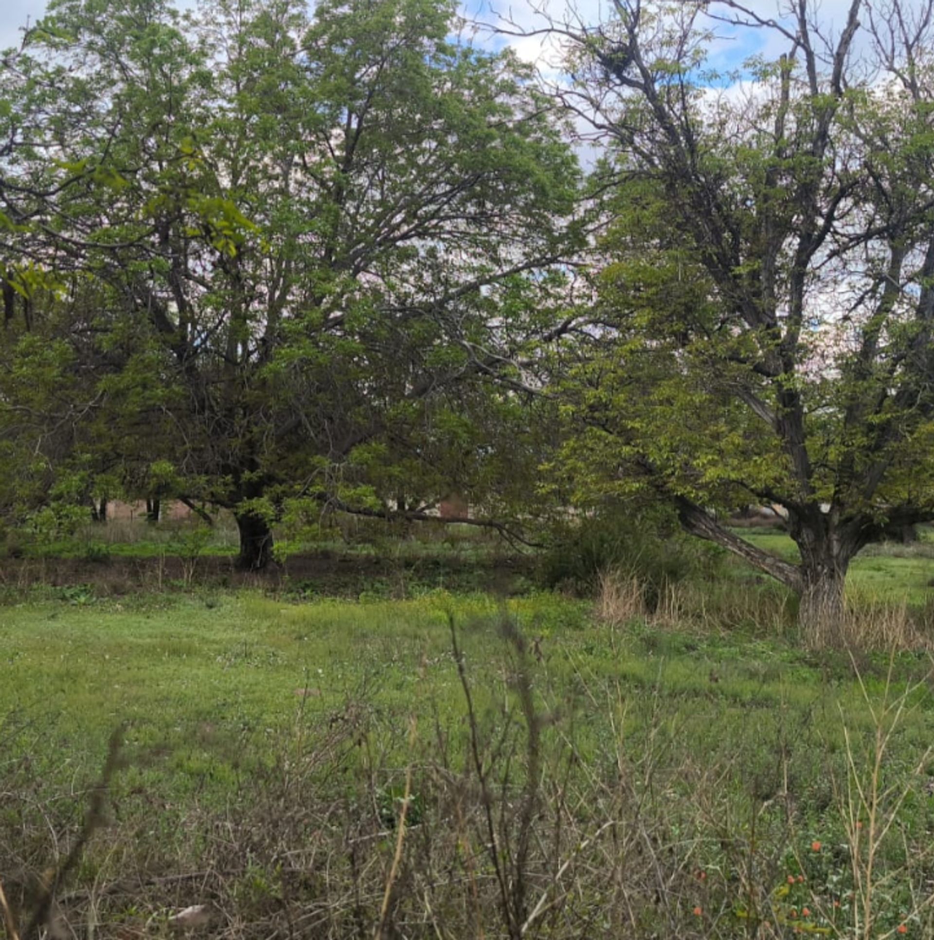 Lote en Venta en San Carlos, Mendoza