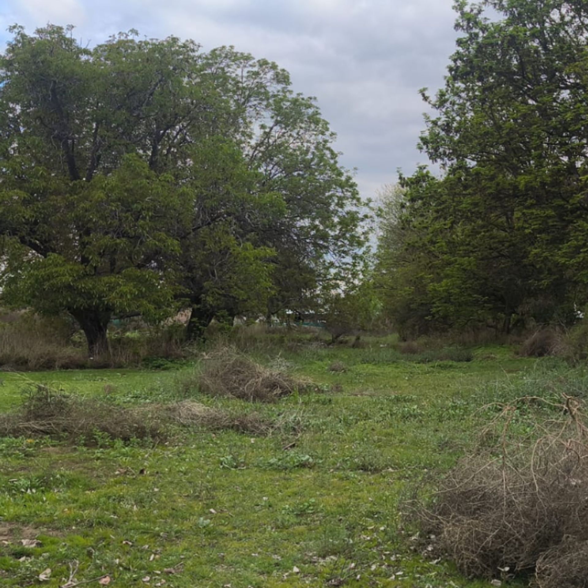 Lote en Venta en San Carlos, Mendoza