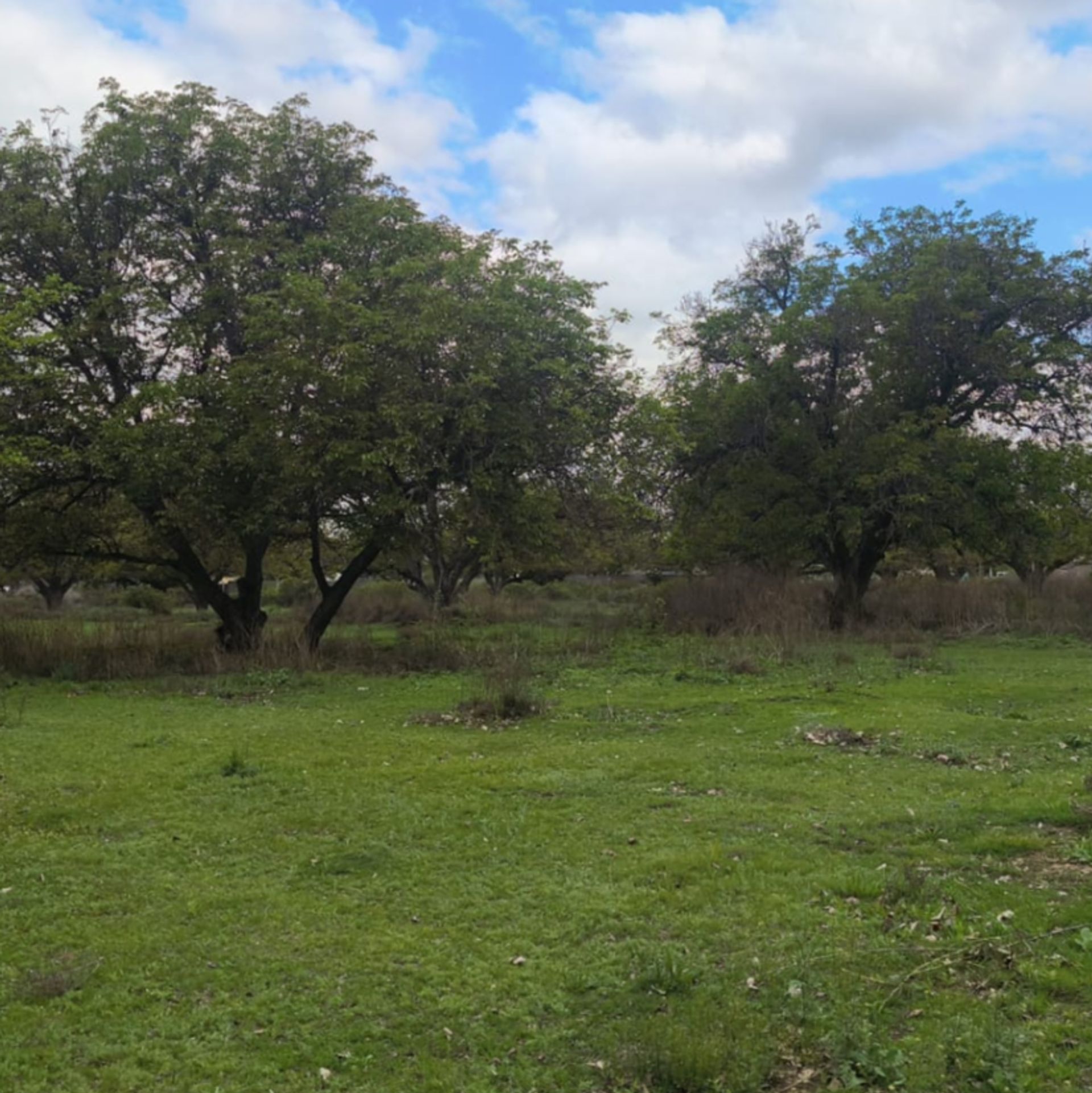 Lote en Venta en San Carlos, Mendoza