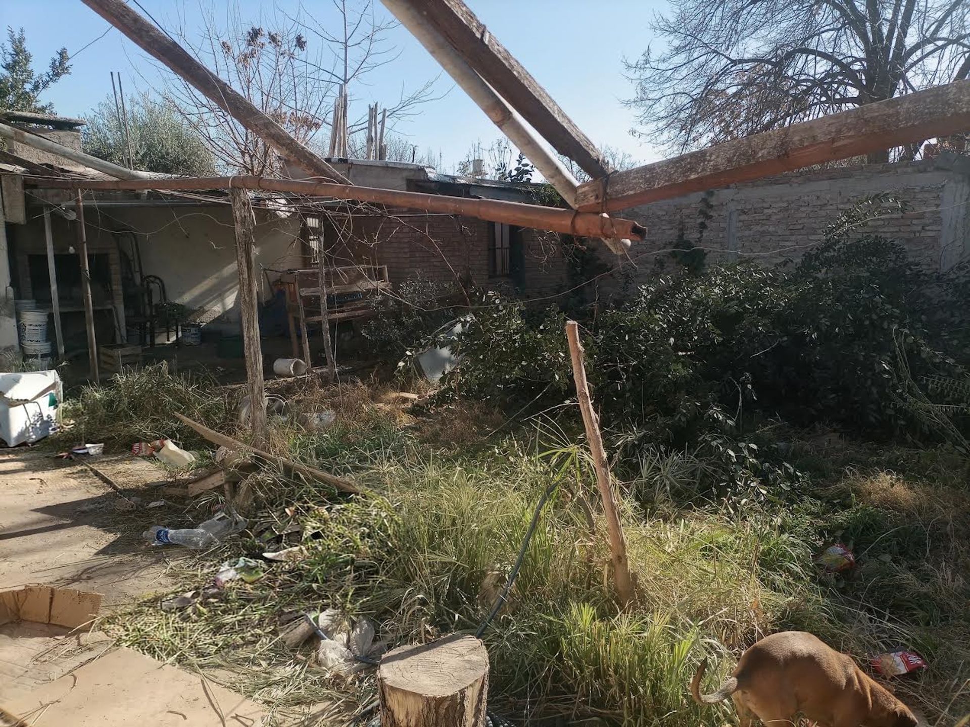 Lote en Venta en Lujan de Cuyo, Mendoza