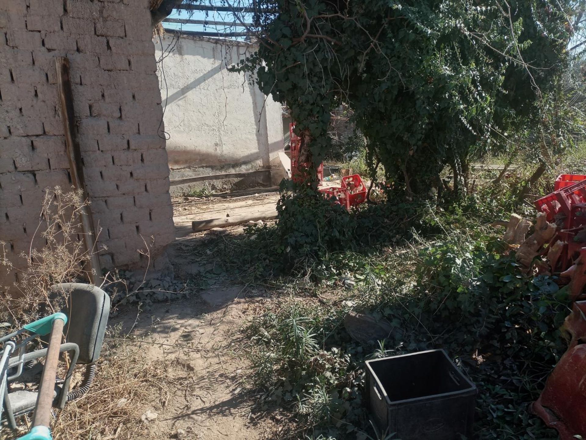 Lote en Venta en Lujan de Cuyo, Mendoza