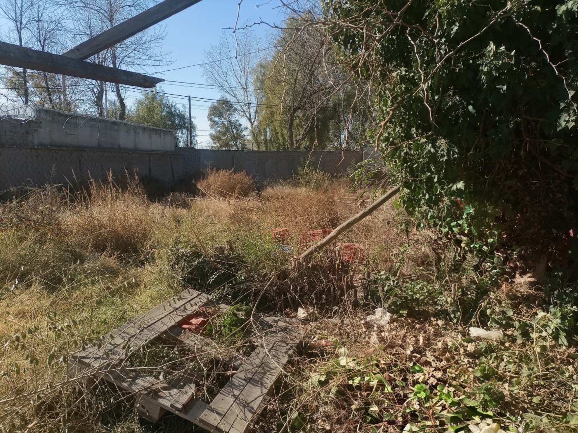 Lote en Venta en Lujan de Cuyo, Mendoza
