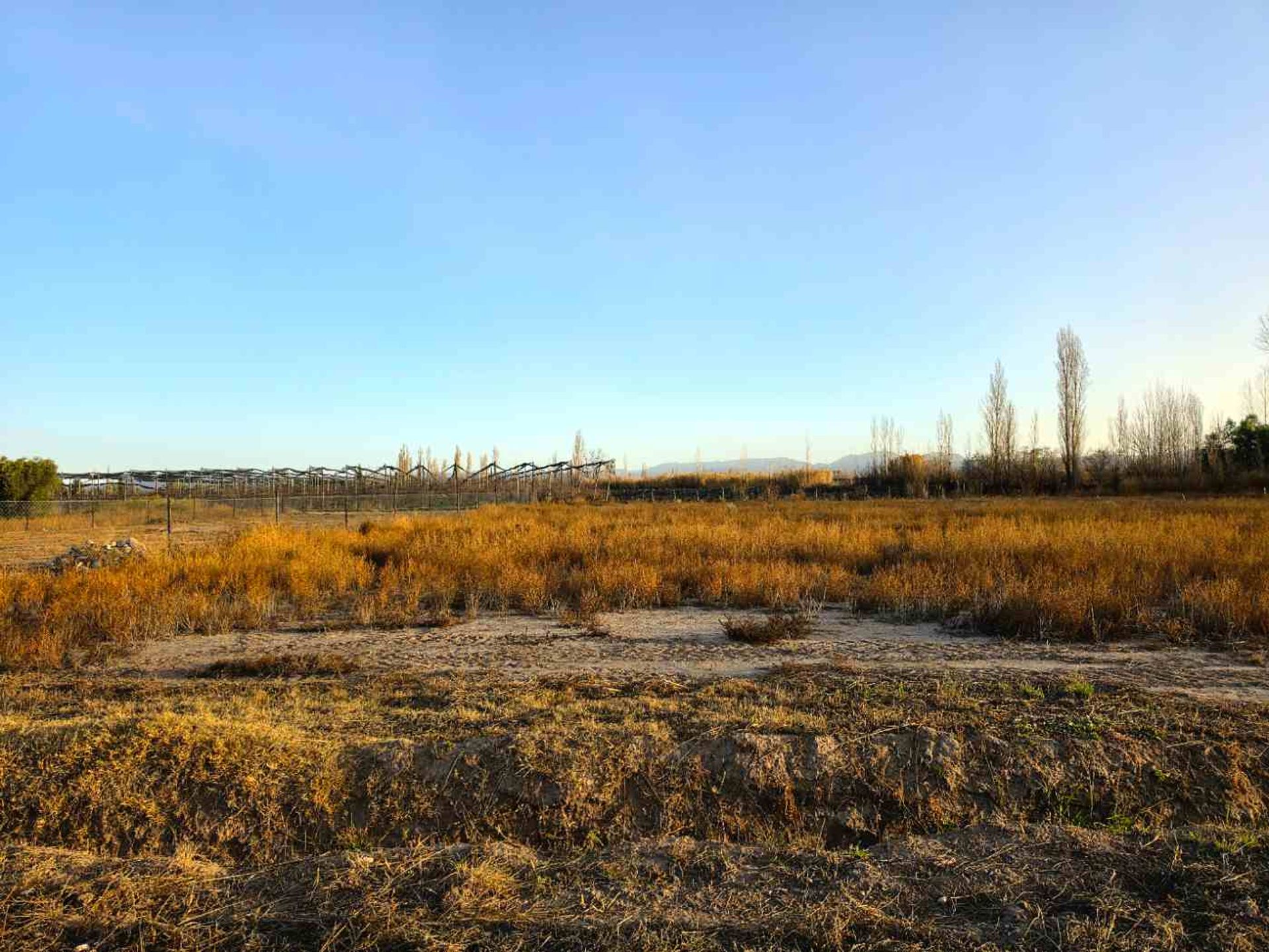 Lote en Venta en San Rafael, Mendoza