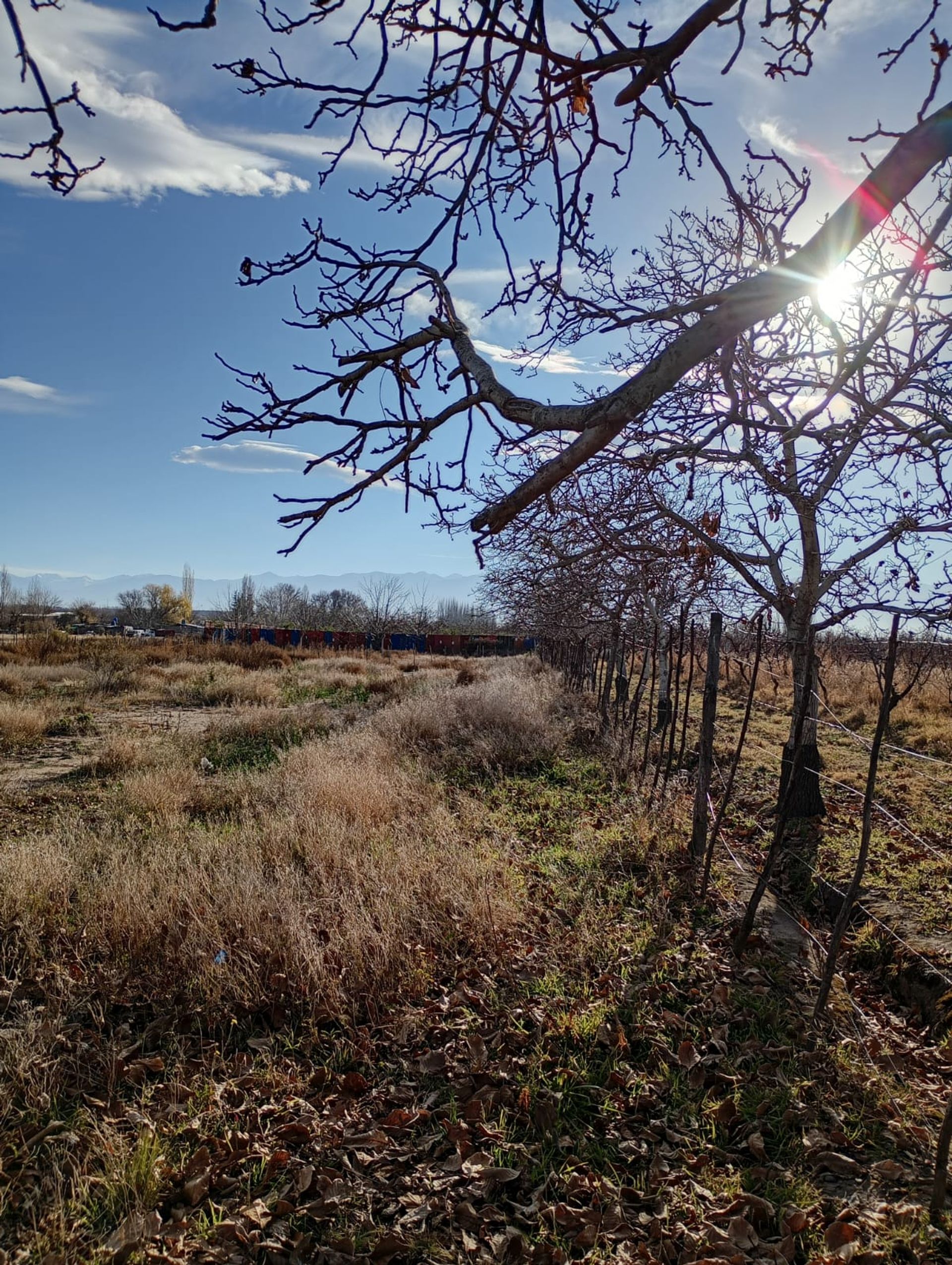Lote en Venta en Tupungato, Mendoza