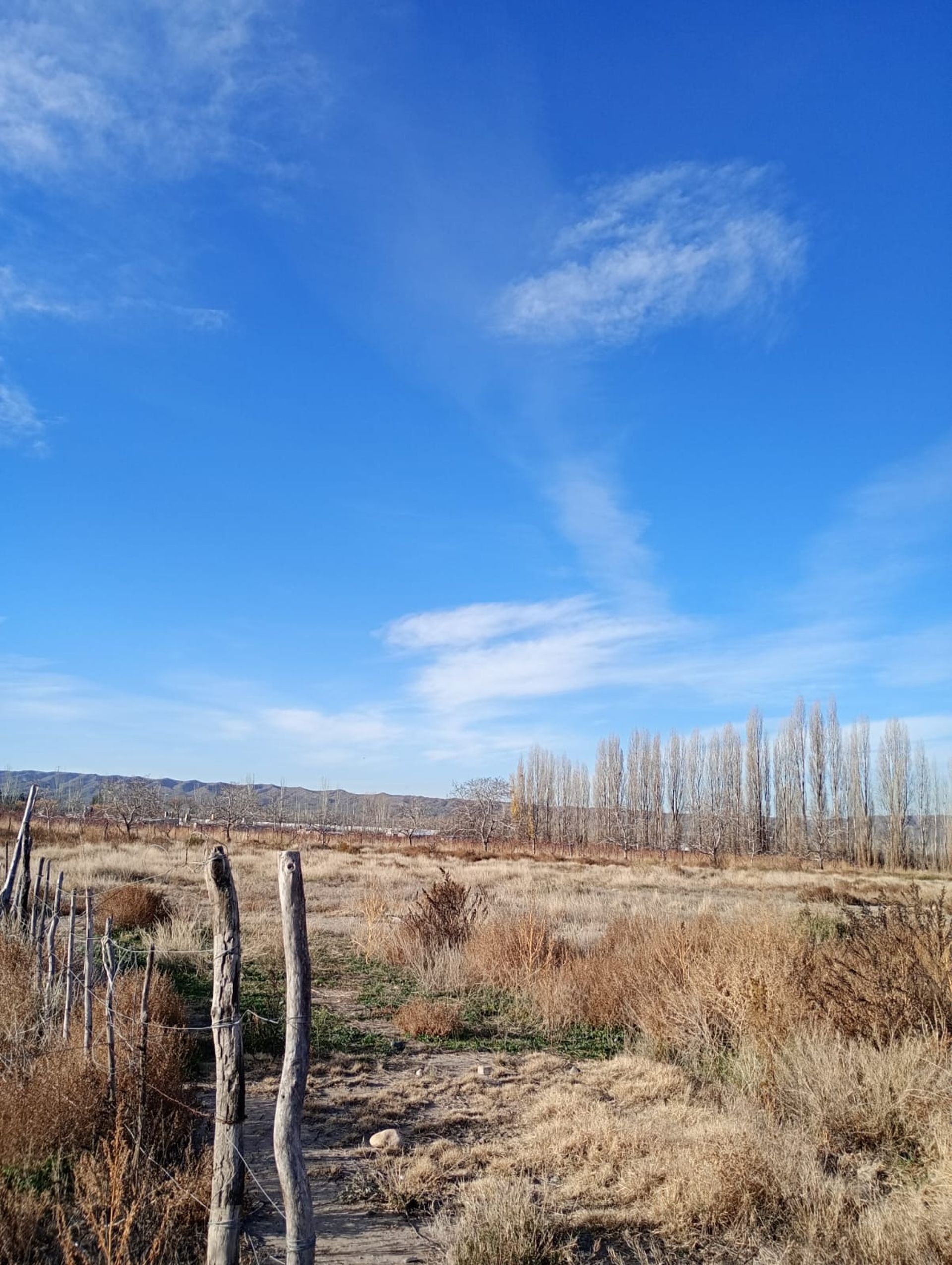 Lote en Venta en Tupungato, Mendoza