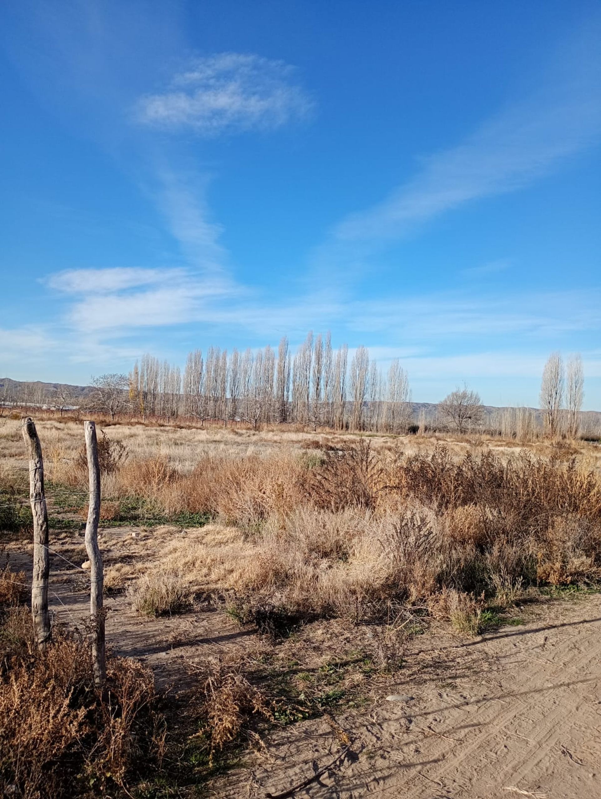 Lote en Venta en Tupungato, Mendoza