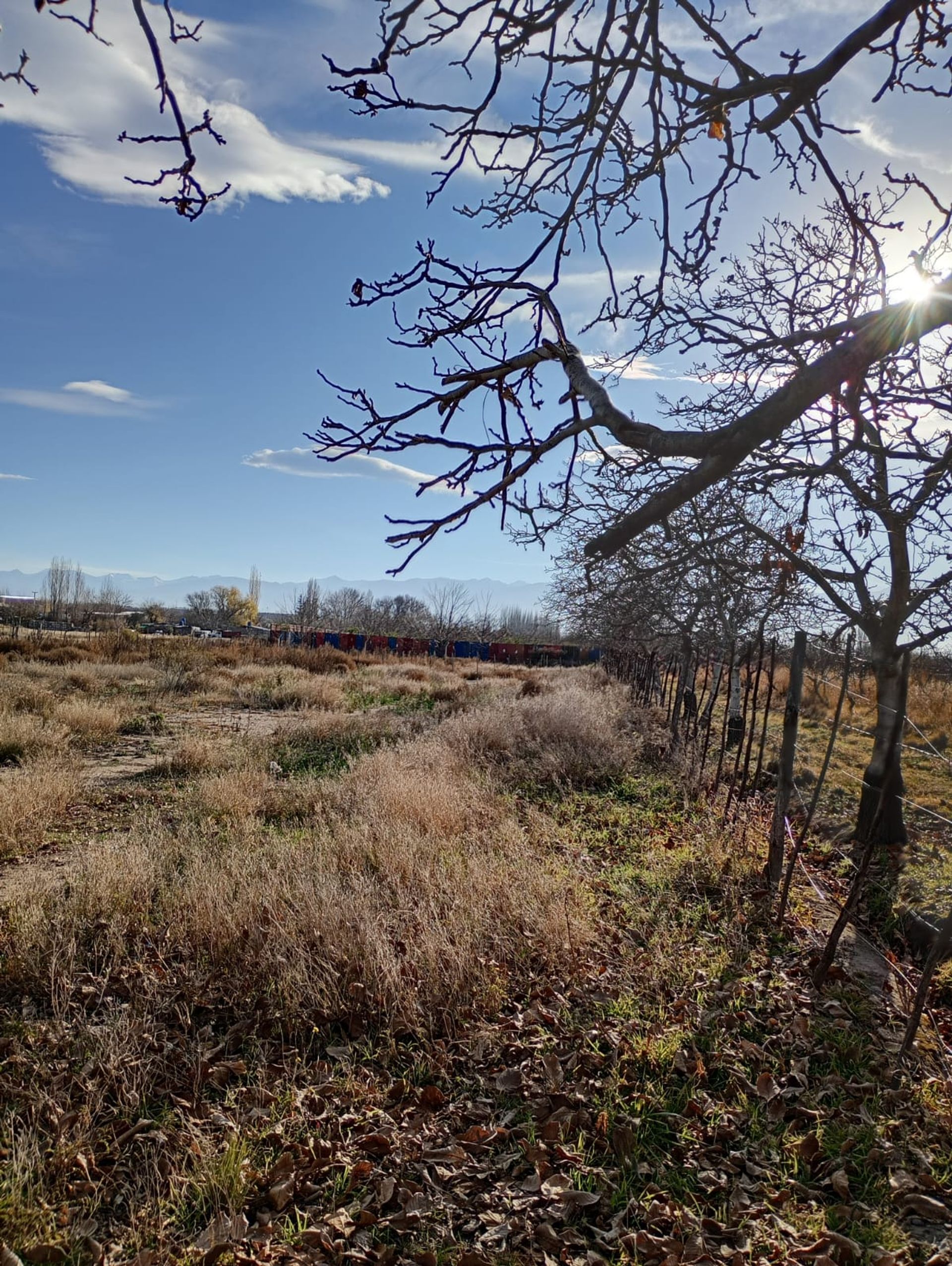 Lote en Venta en Tupungato, Mendoza