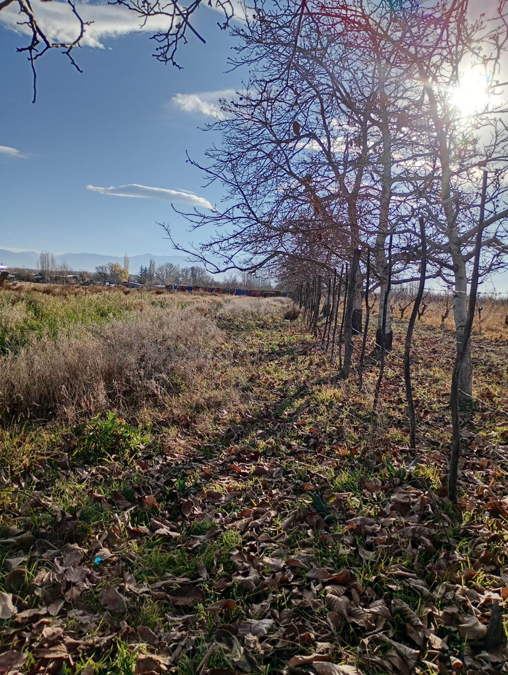 Lote en Venta en Tupungato, Mendoza