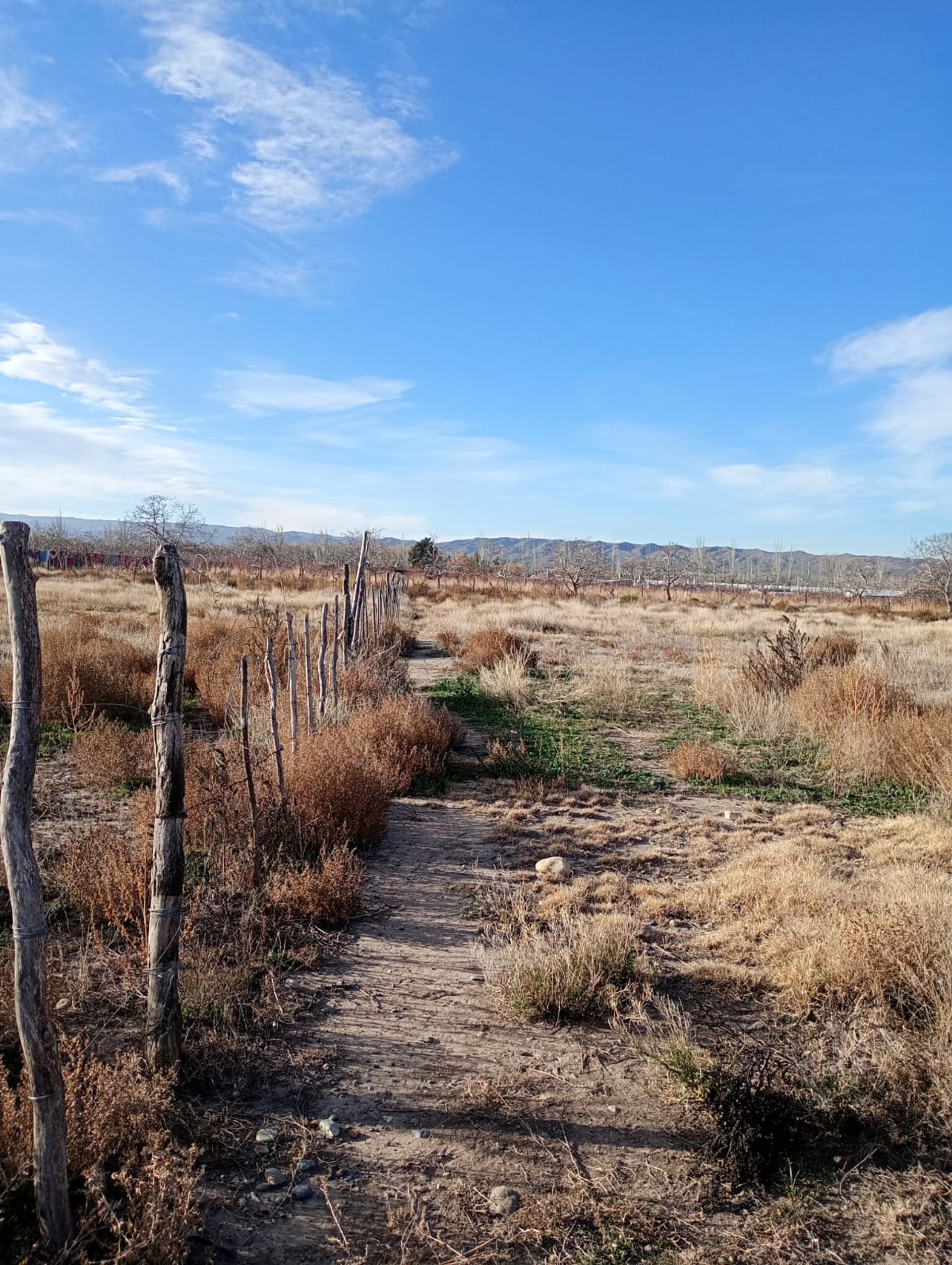 Lote en Venta en Tupungato, Mendoza