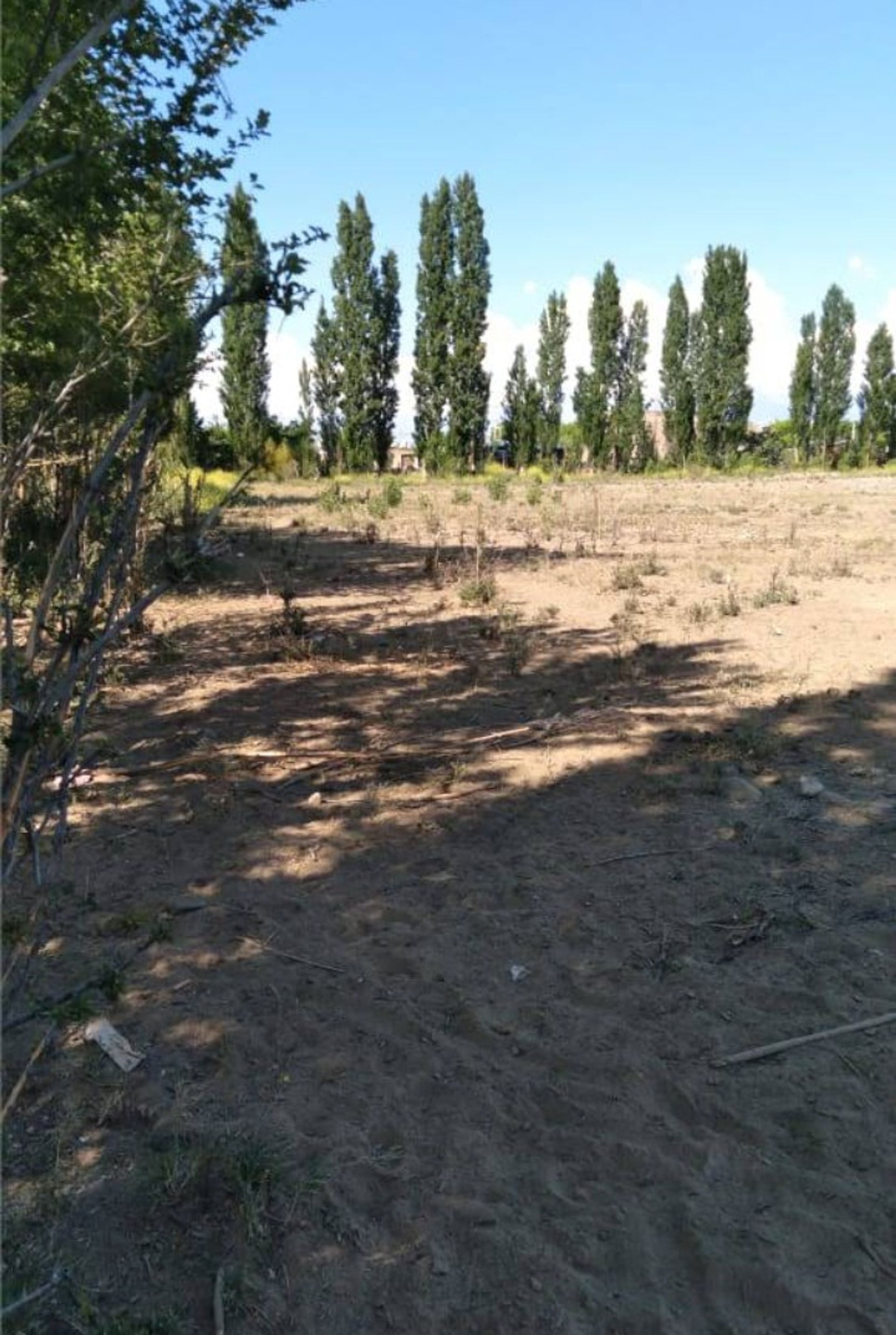 Lote en Venta en Tupungato, Mendoza