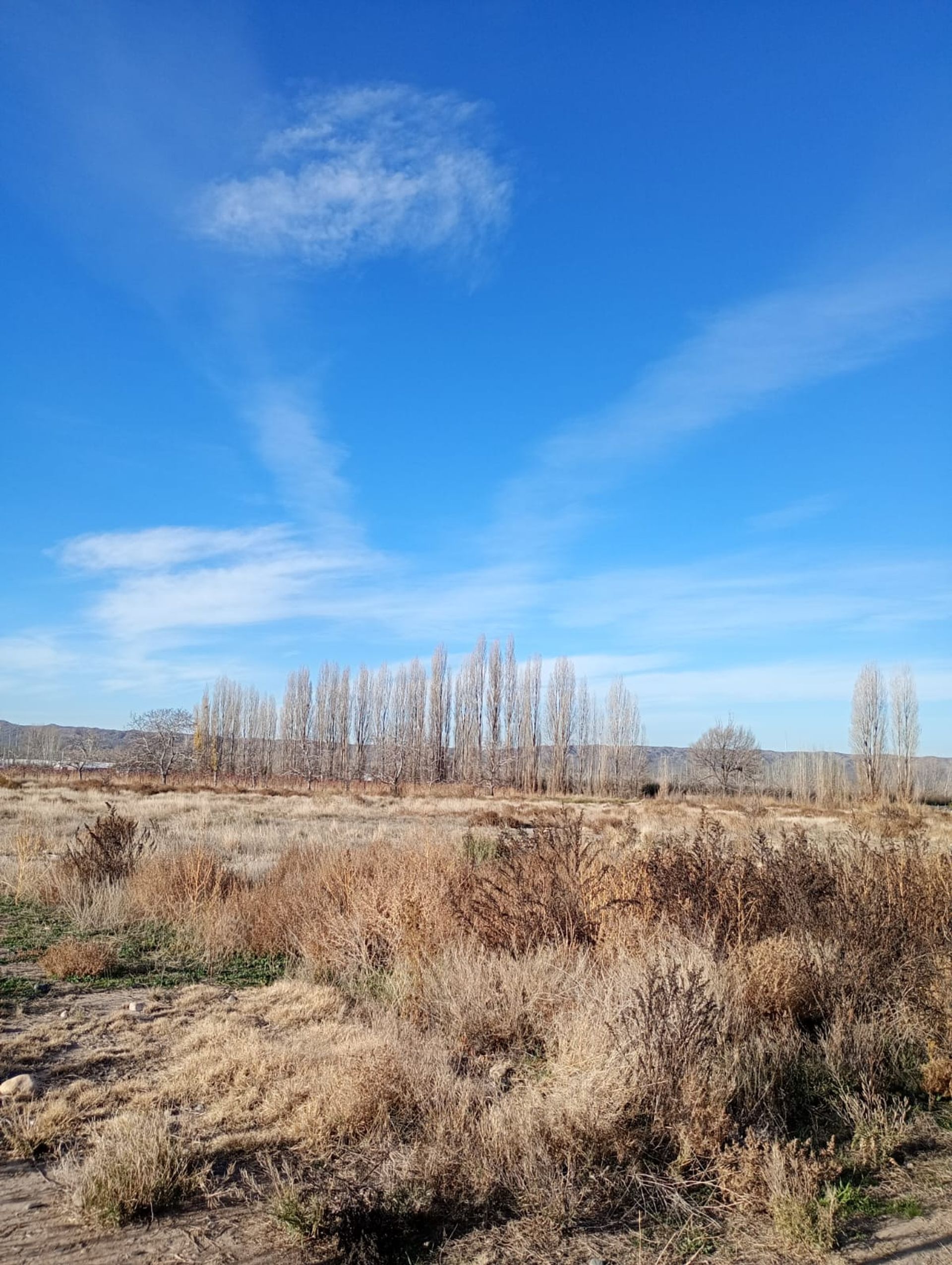 Lote en Venta en Tupungato, Mendoza