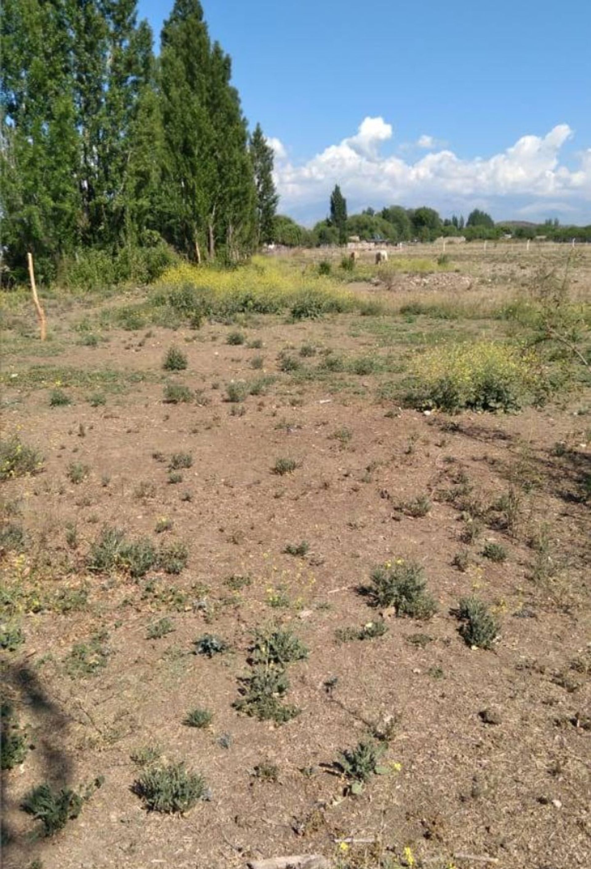 Lote en Venta en Tupungato, Mendoza