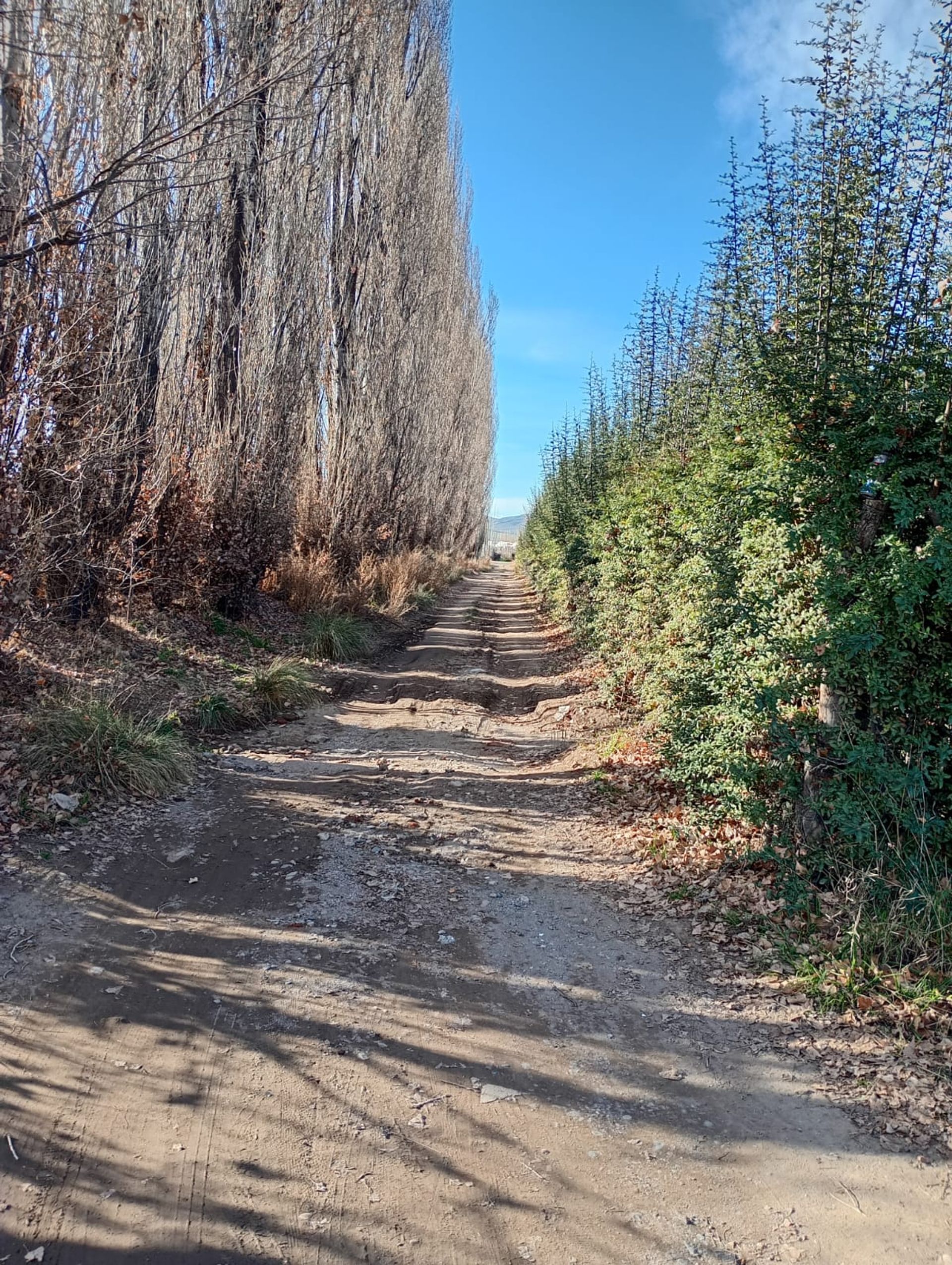 Lote en Venta en Tupungato, Mendoza