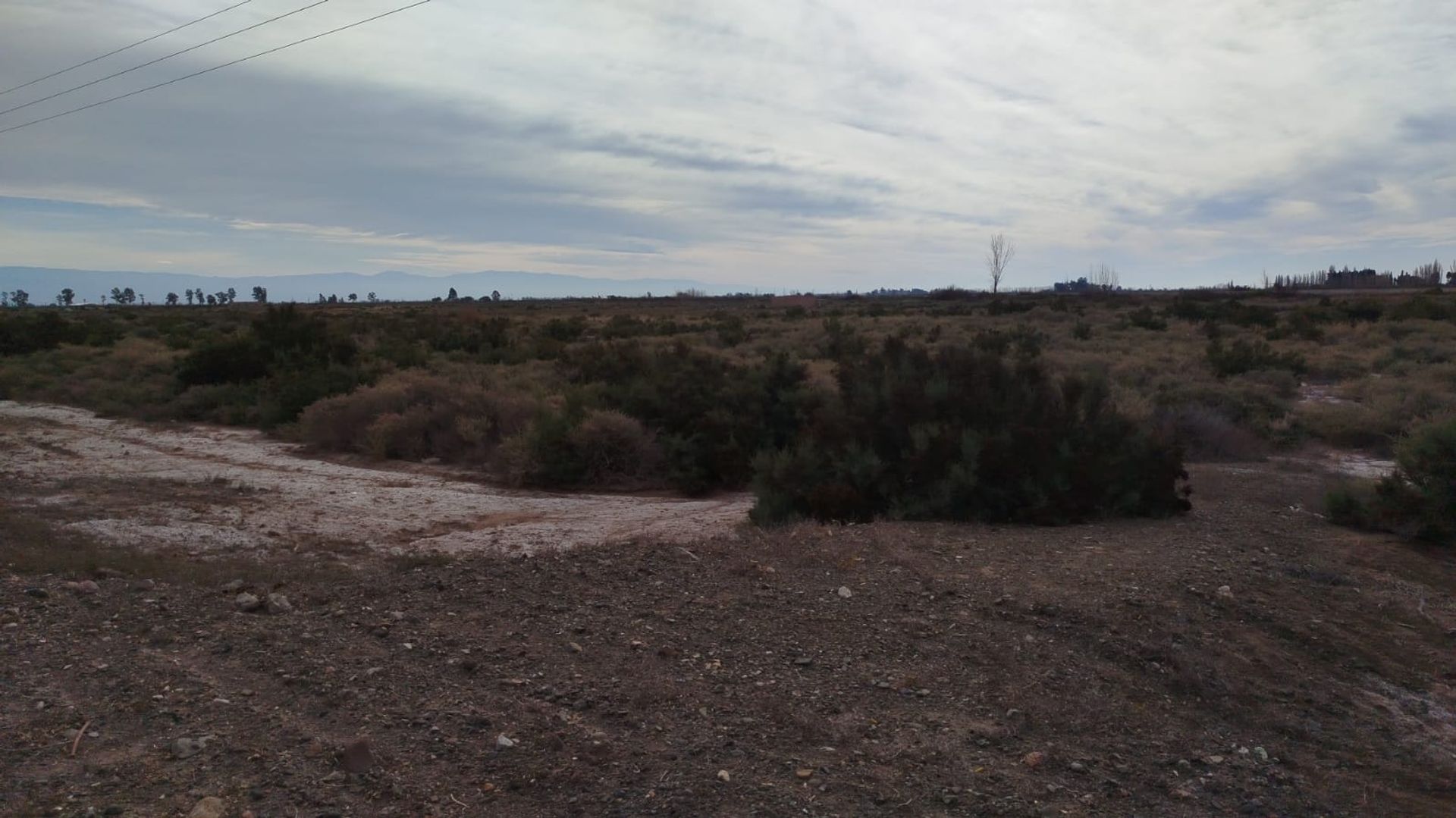 Lote en Venta en Lavalle, Mendoza