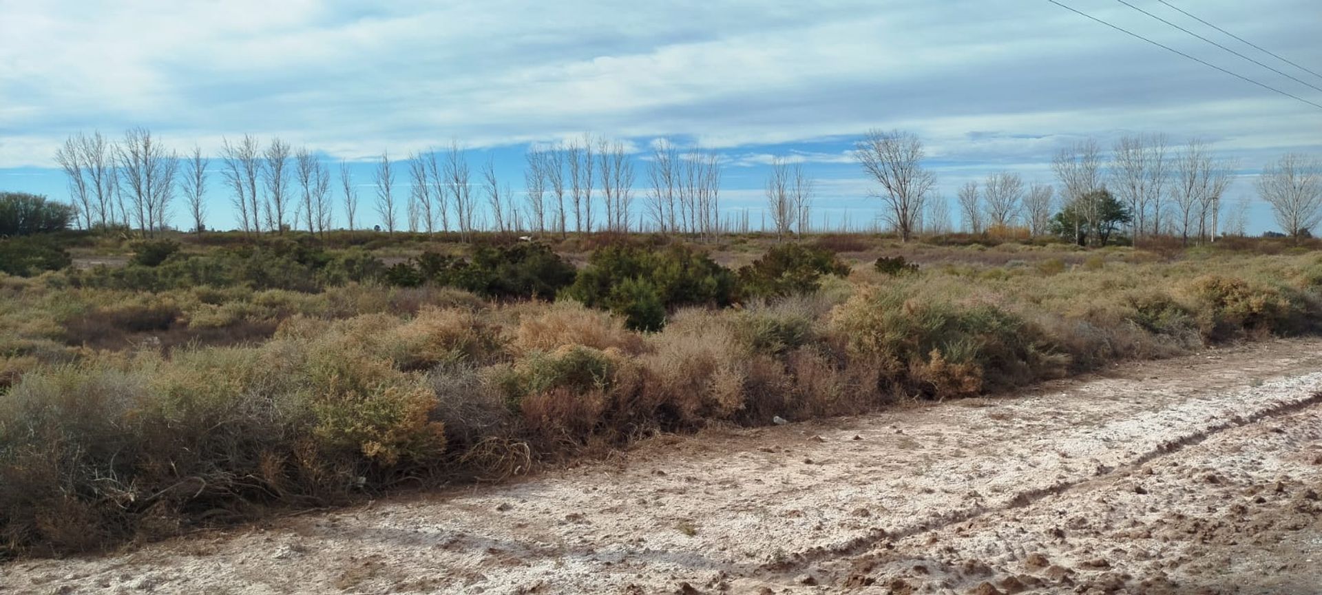 Lote en Venta en Lavalle, Mendoza