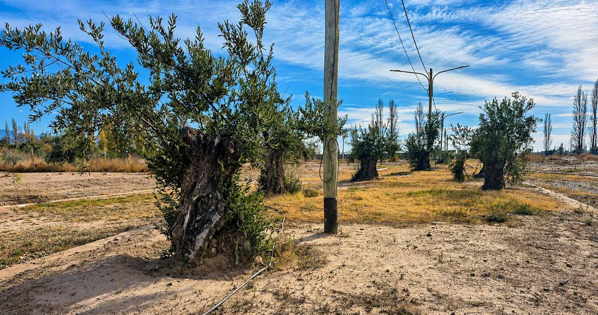 Lote en Venta en Lujan de Cuyo, Mendoza