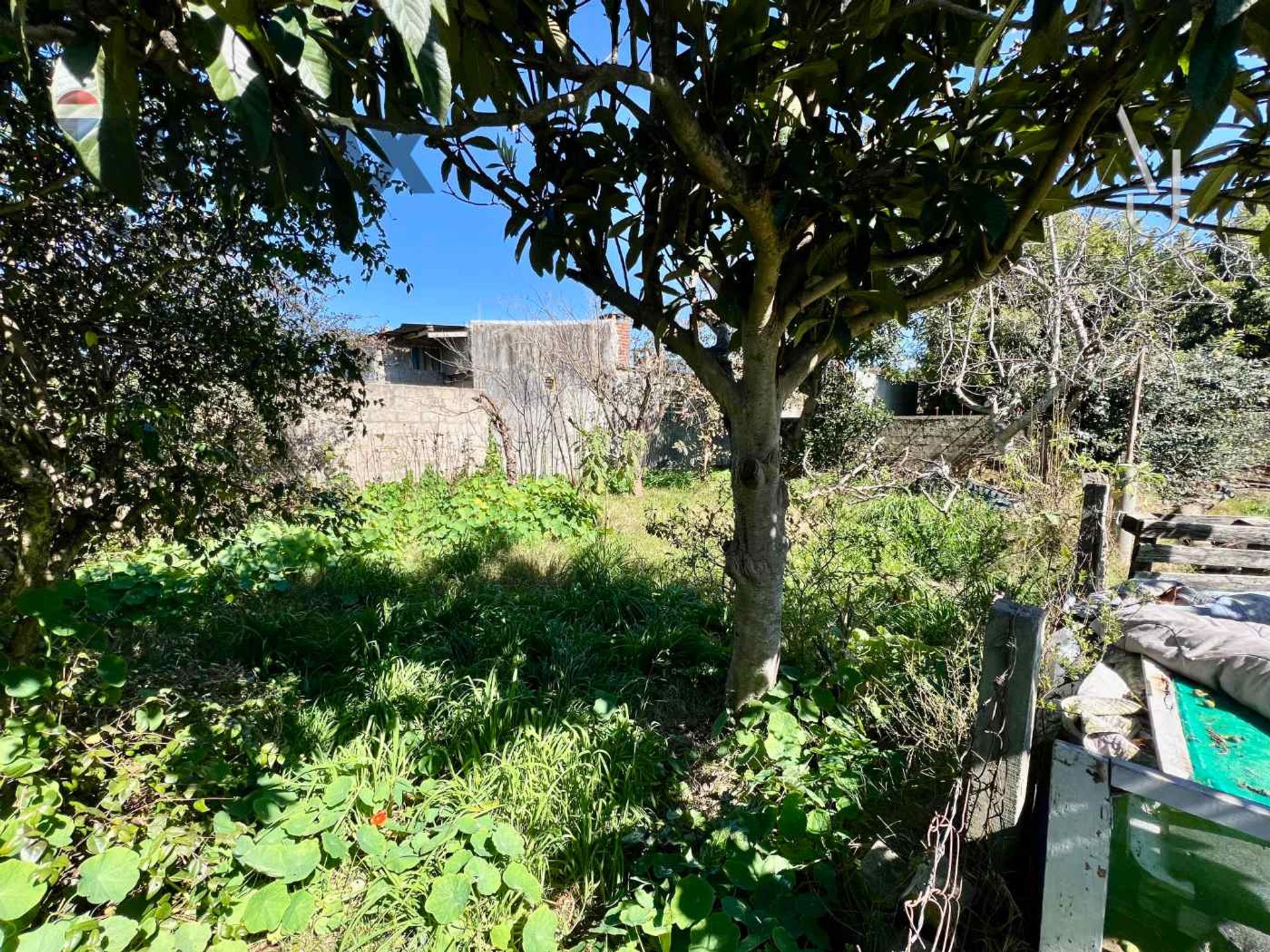 Venta de casa + apartamento en Barros Blancos - 12