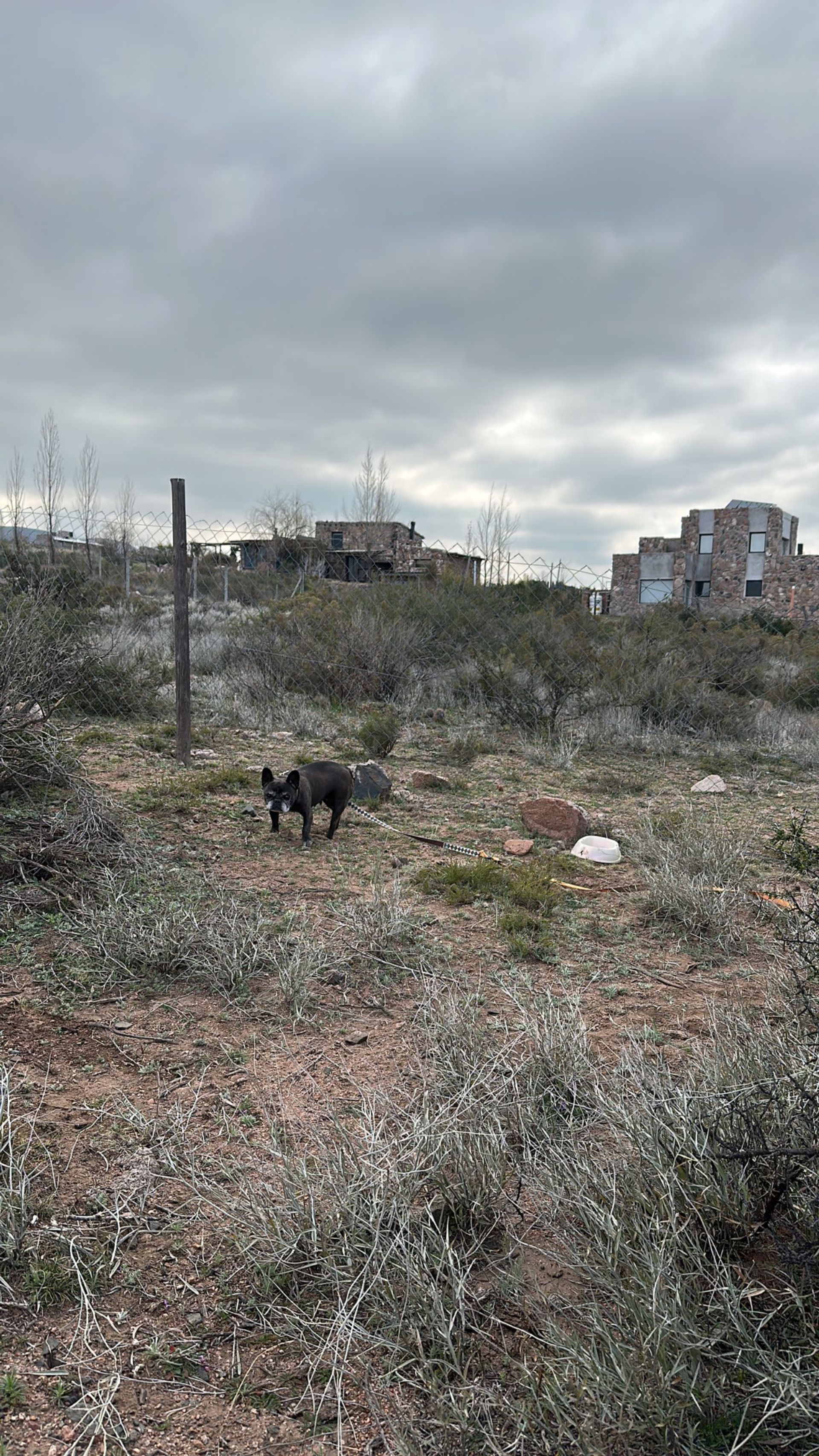 Lote en Venta en Lujan de Cuyo, Mendoza