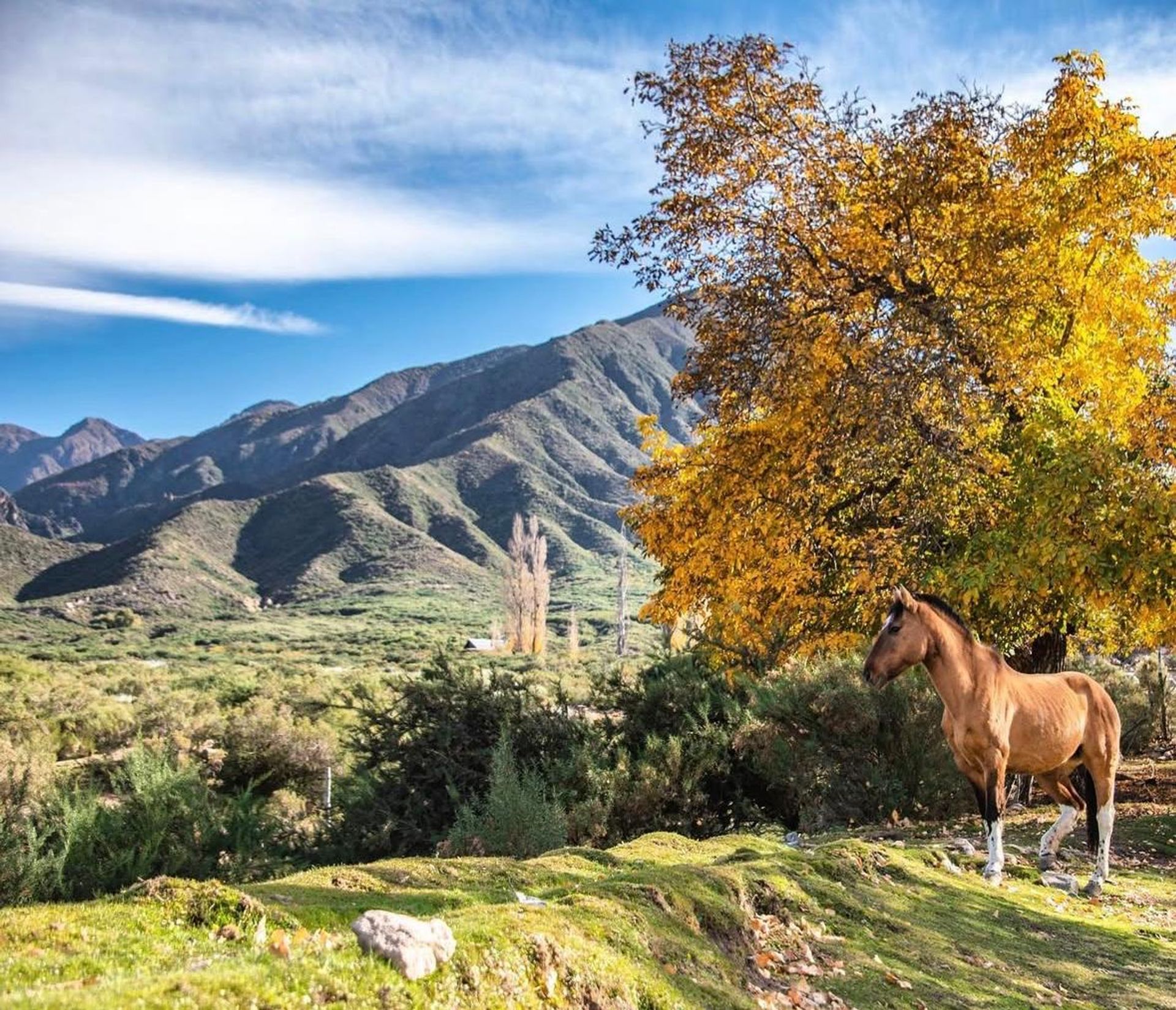 Lote en Venta en Lujan de Cuyo, Mendoza