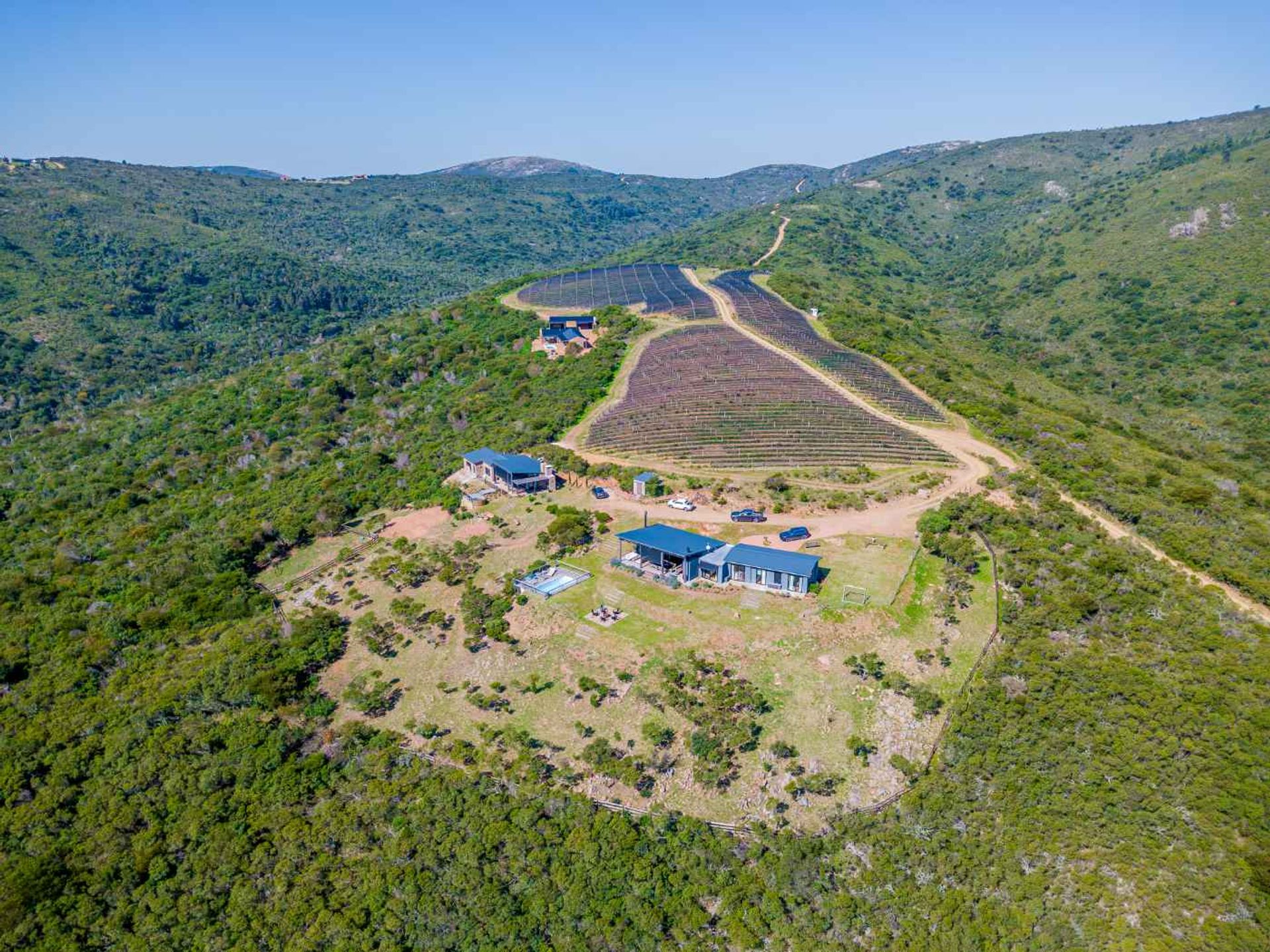VENTA DE CHACRAS DE 15 HECTAREAS EN LAVALLEJA - 3