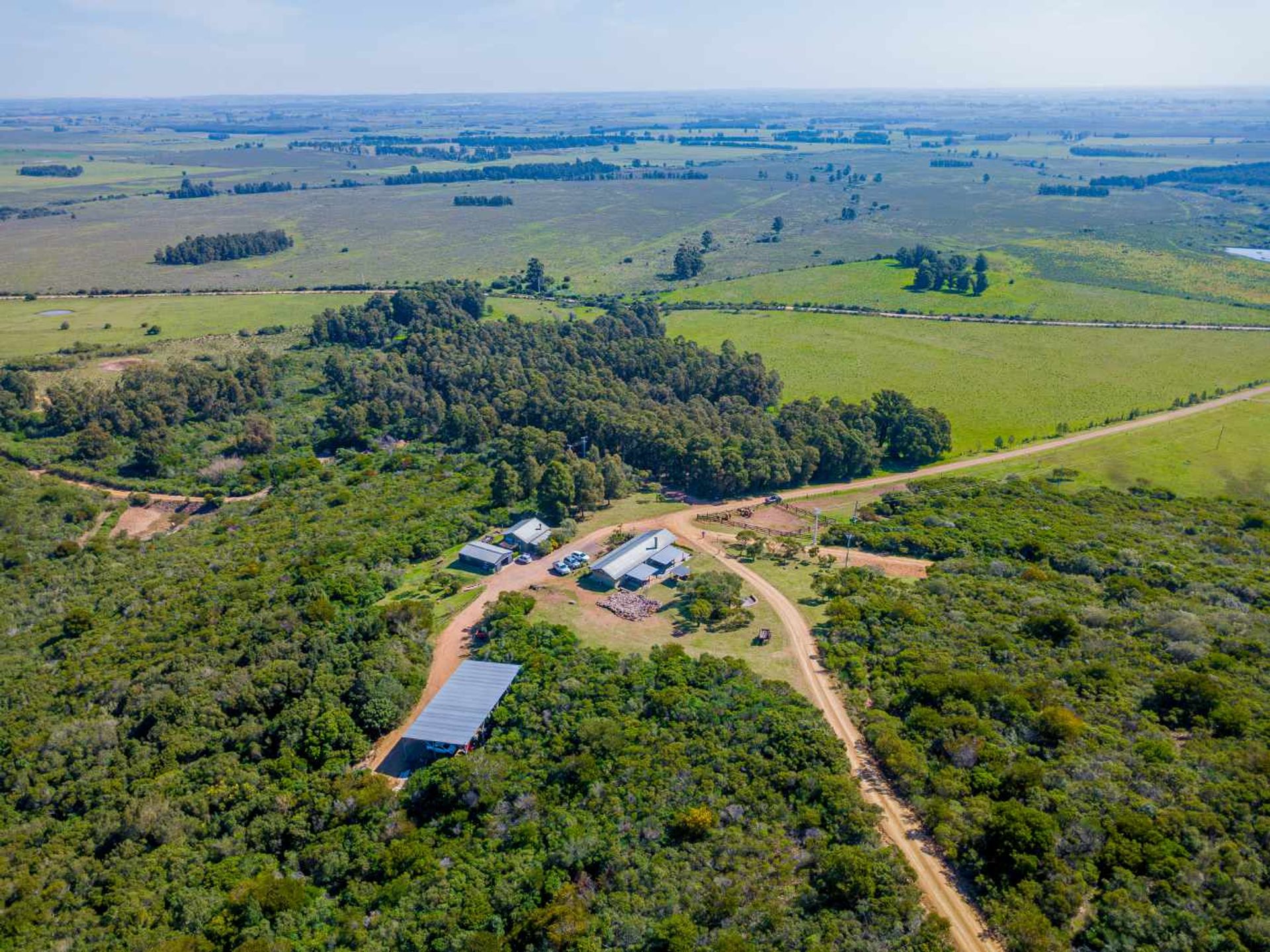 VENTA DE CHACRAS DE 15 HECTAREAS EN LAVALLEJA - 7