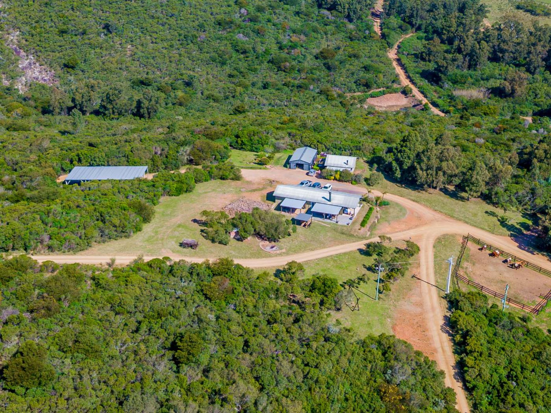 VENTA DE CHACRAS DE 15 HECTAREAS EN LAVALLEJA - 5