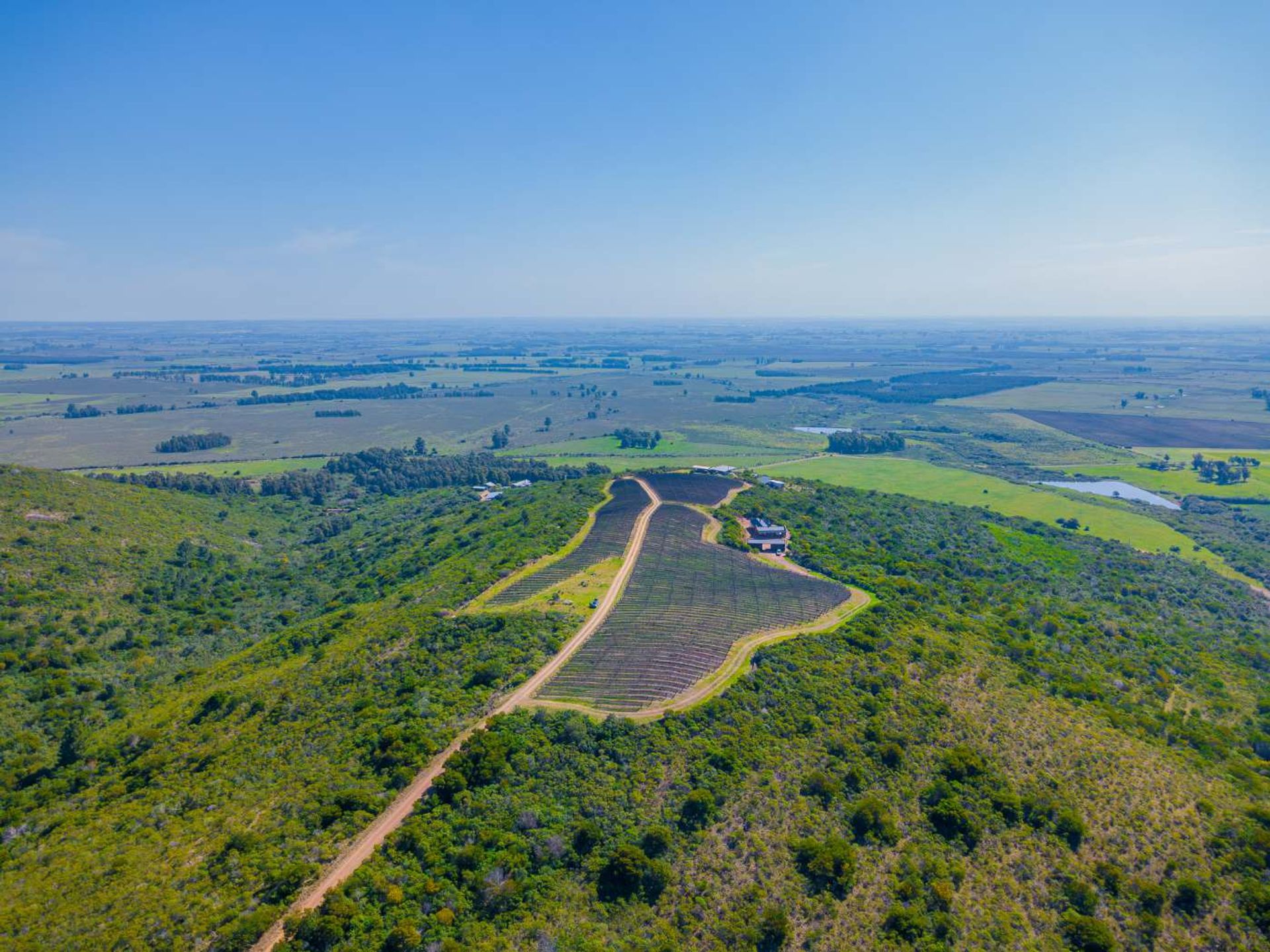 VENTA DE CHACRAS DE 15 HECTAREAS EN LAVALLEJA - 6