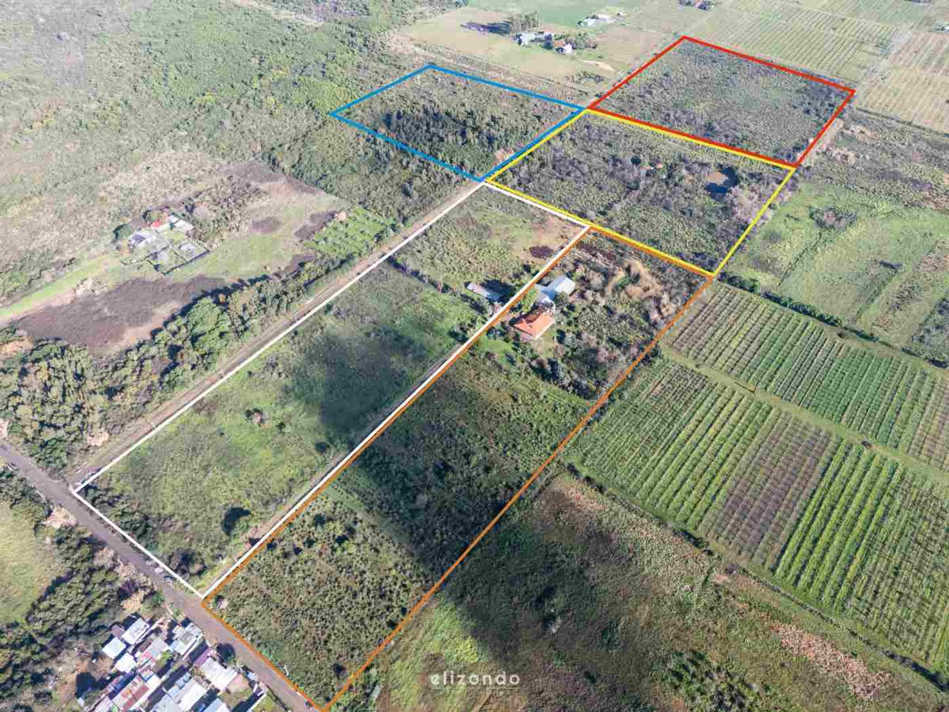 3 hectáreas en venta en Paso de la Arena. - 2