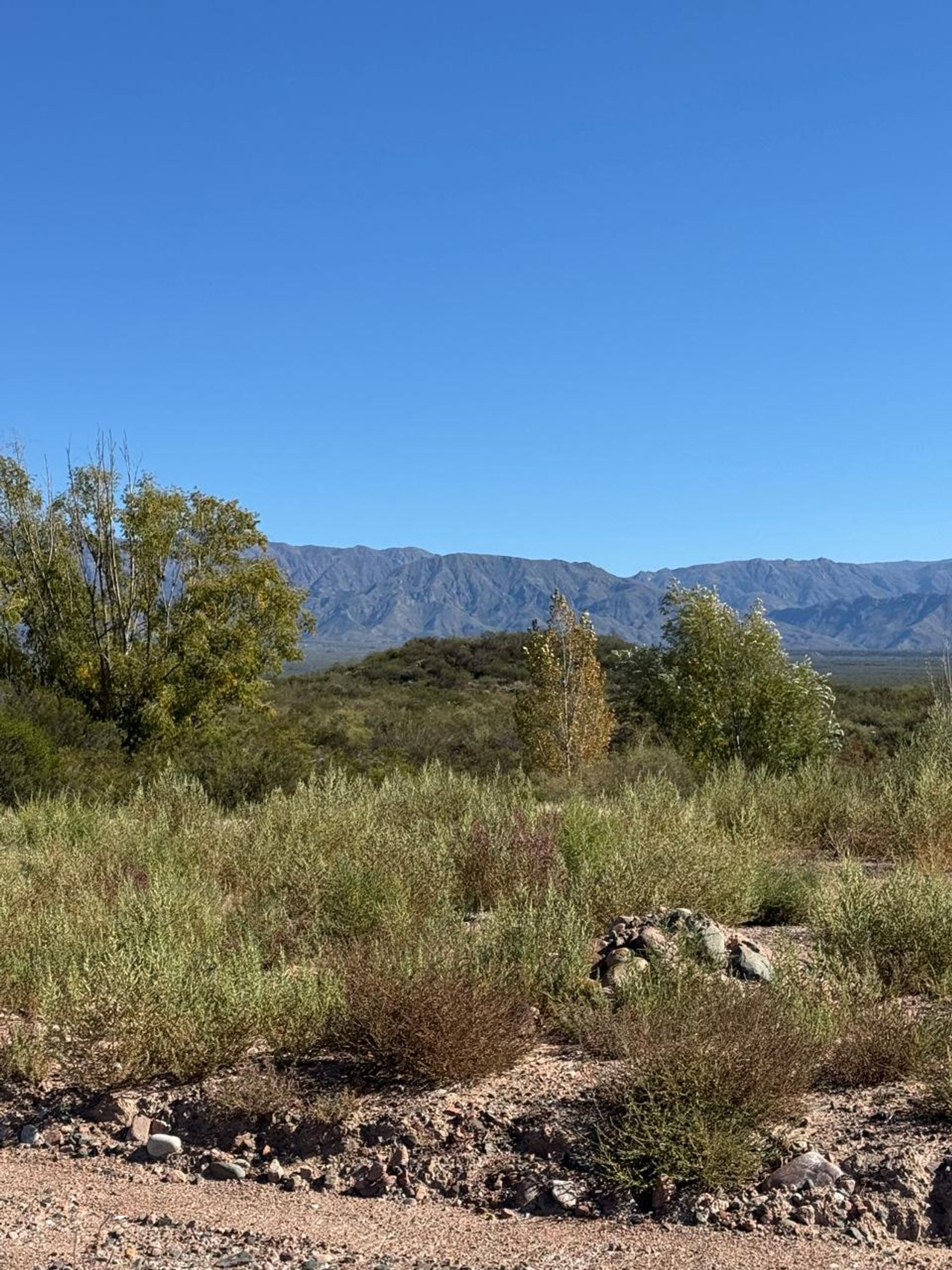 Lote en Venta en Lujan de Cuyo, Mendoza
