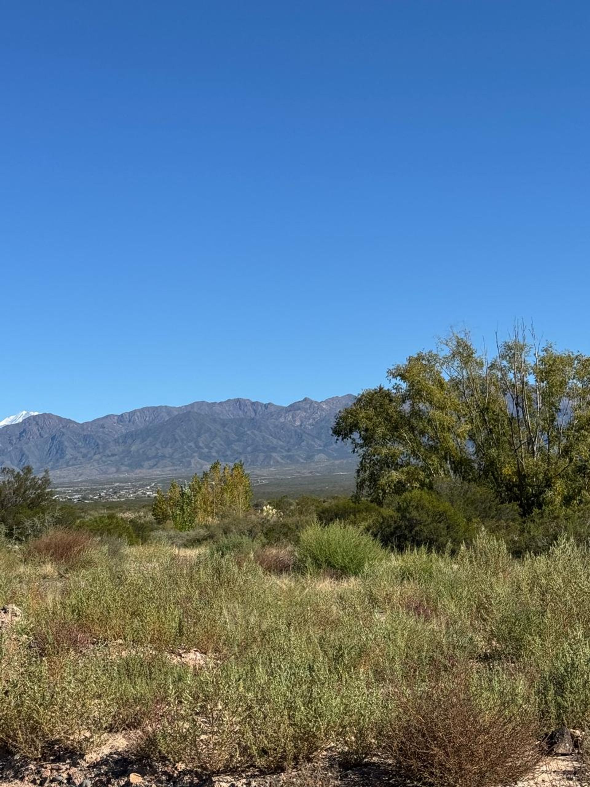 Lote en Venta en Lujan de Cuyo, Mendoza