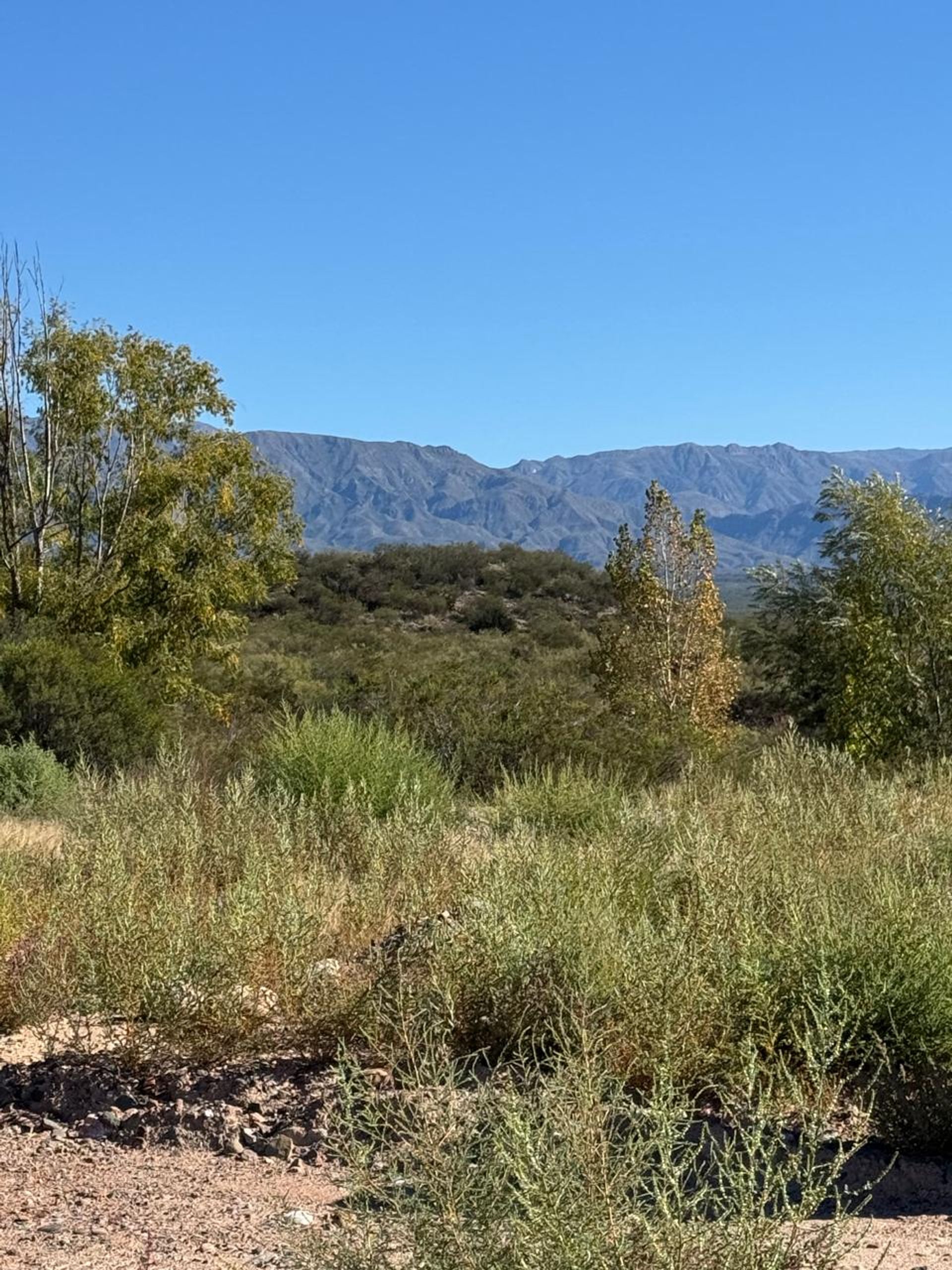 Lote en Venta en Lujan de Cuyo, Mendoza
