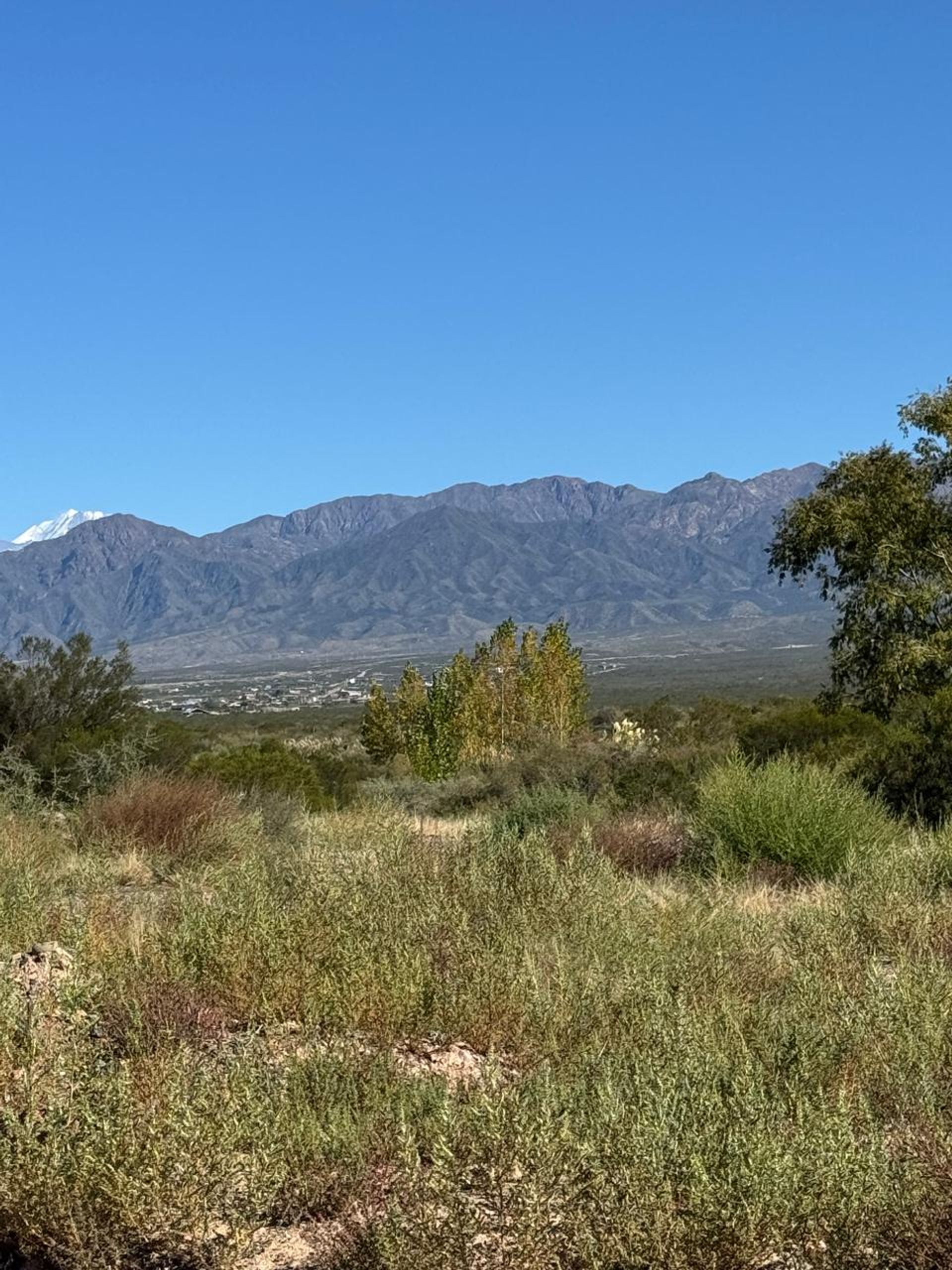 Lote en Venta en Lujan de Cuyo, Mendoza