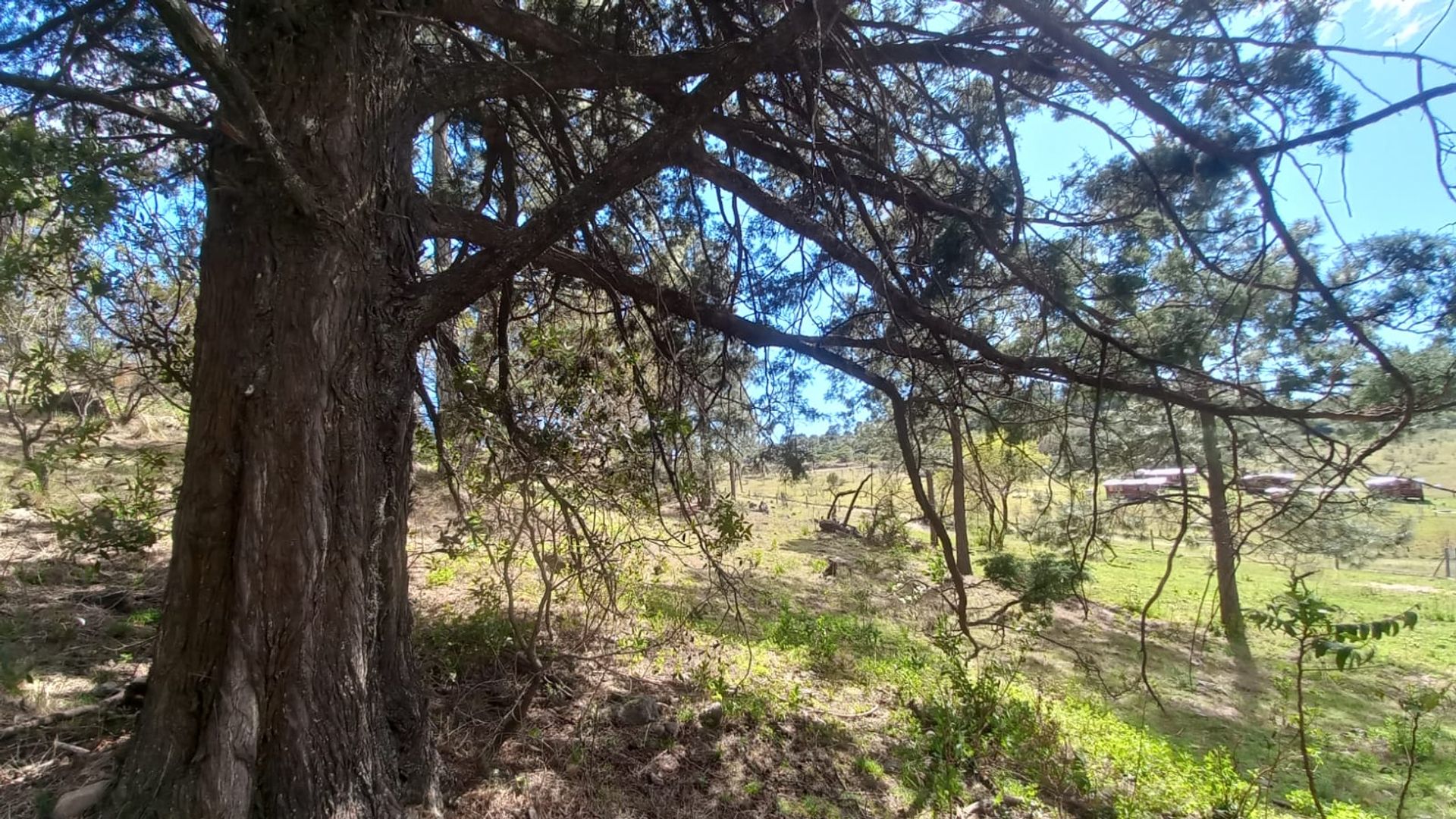 Lote en Venta en Santa Maria, Cordoba