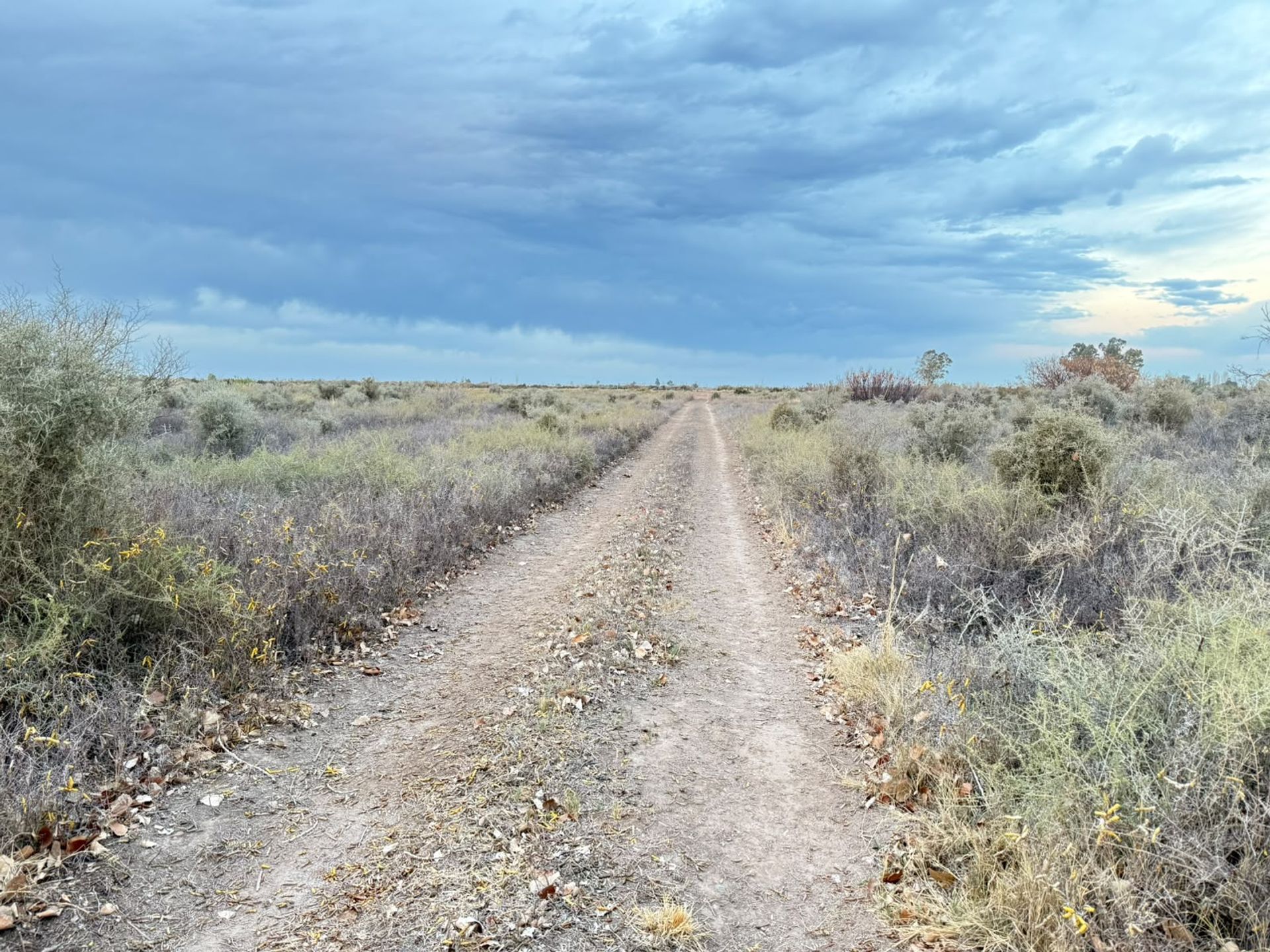 Lote en Venta en Lavalle, Mendoza
