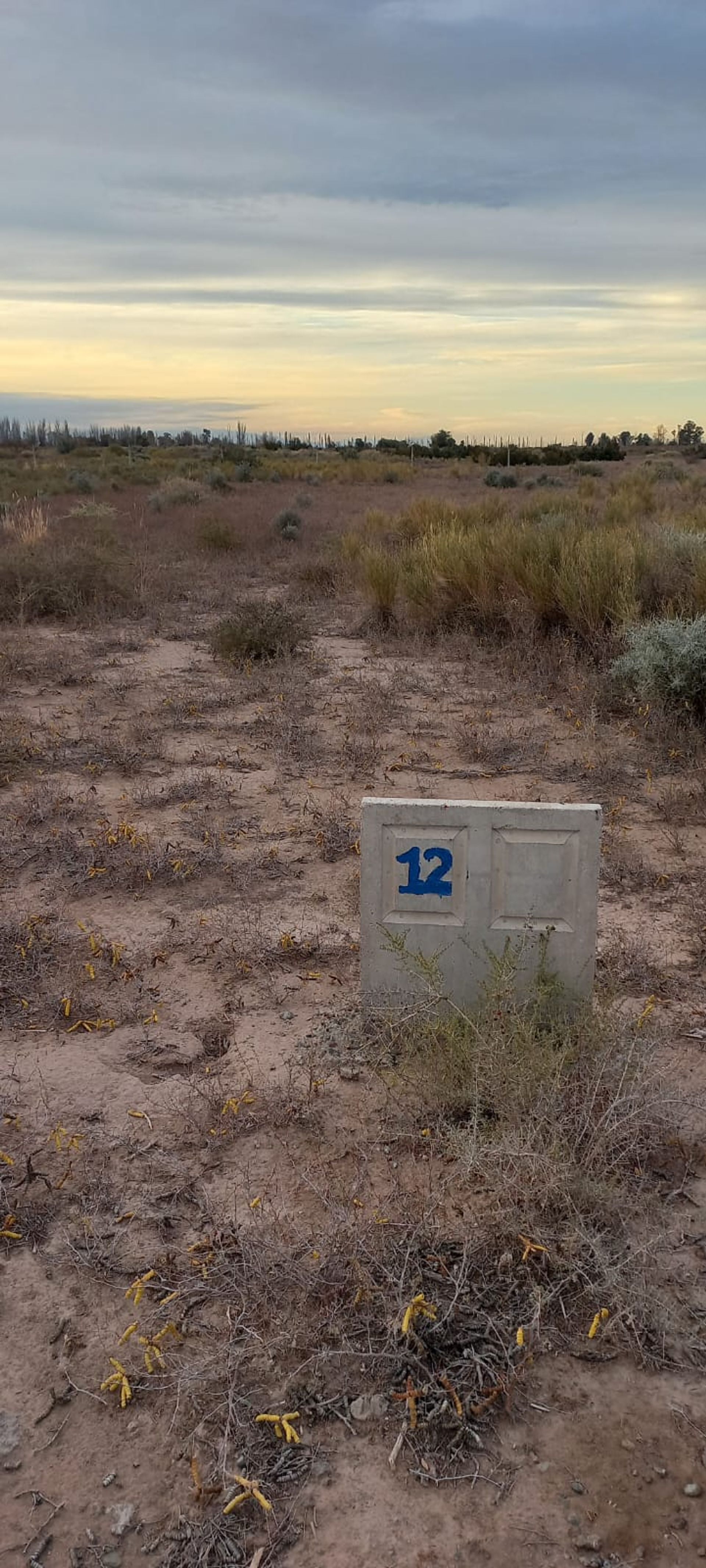 Lote en Venta en Lavalle, Mendoza