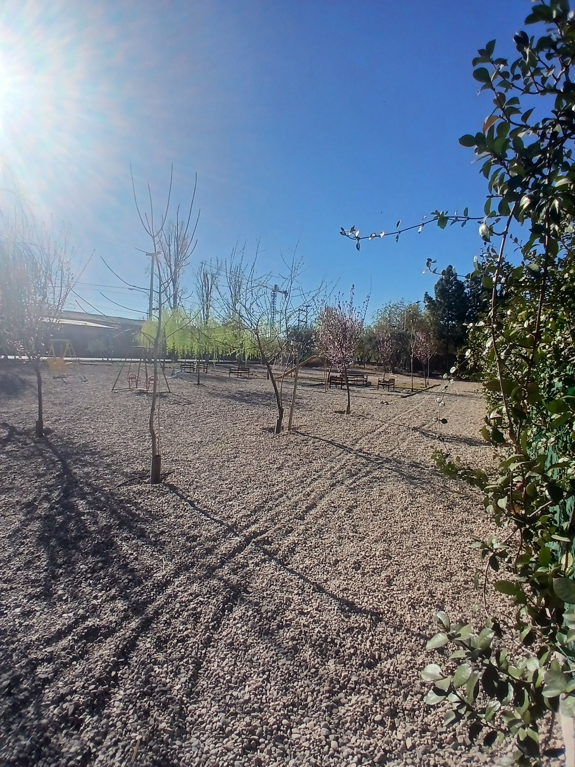 Lote en Venta en Lujan de Cuyo, Mendoza