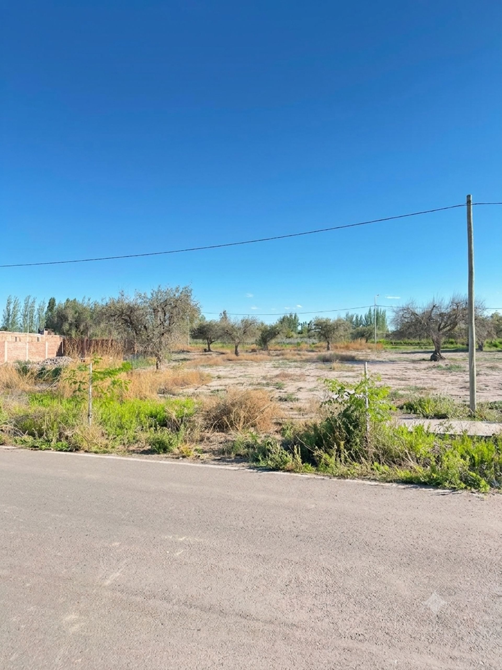 Lujan de Cuyo El Vino Nª S/n, Barrio Gran Vistalba Manzana-i Lote-9 S/N