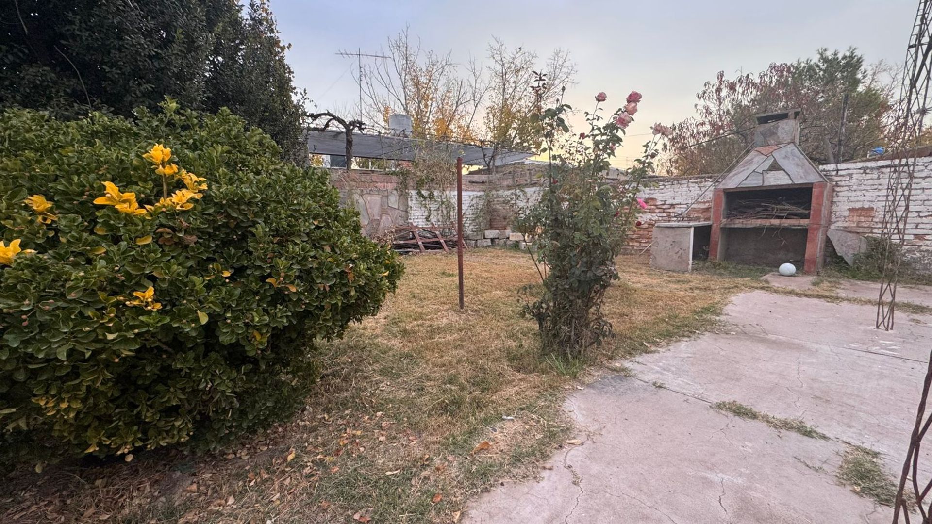 Casa en Alquiler en San Martin, Mendoza