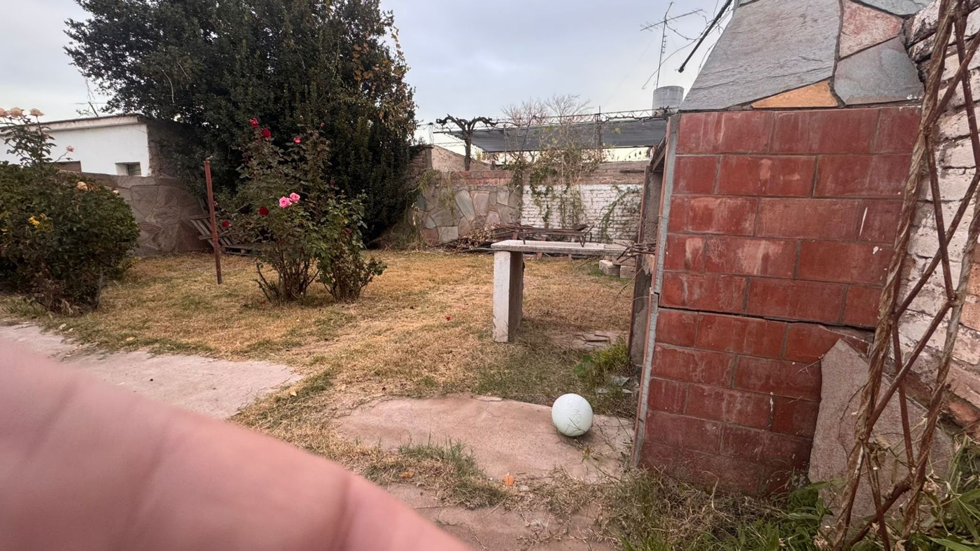 Casa en Alquiler en San Martin, Mendoza