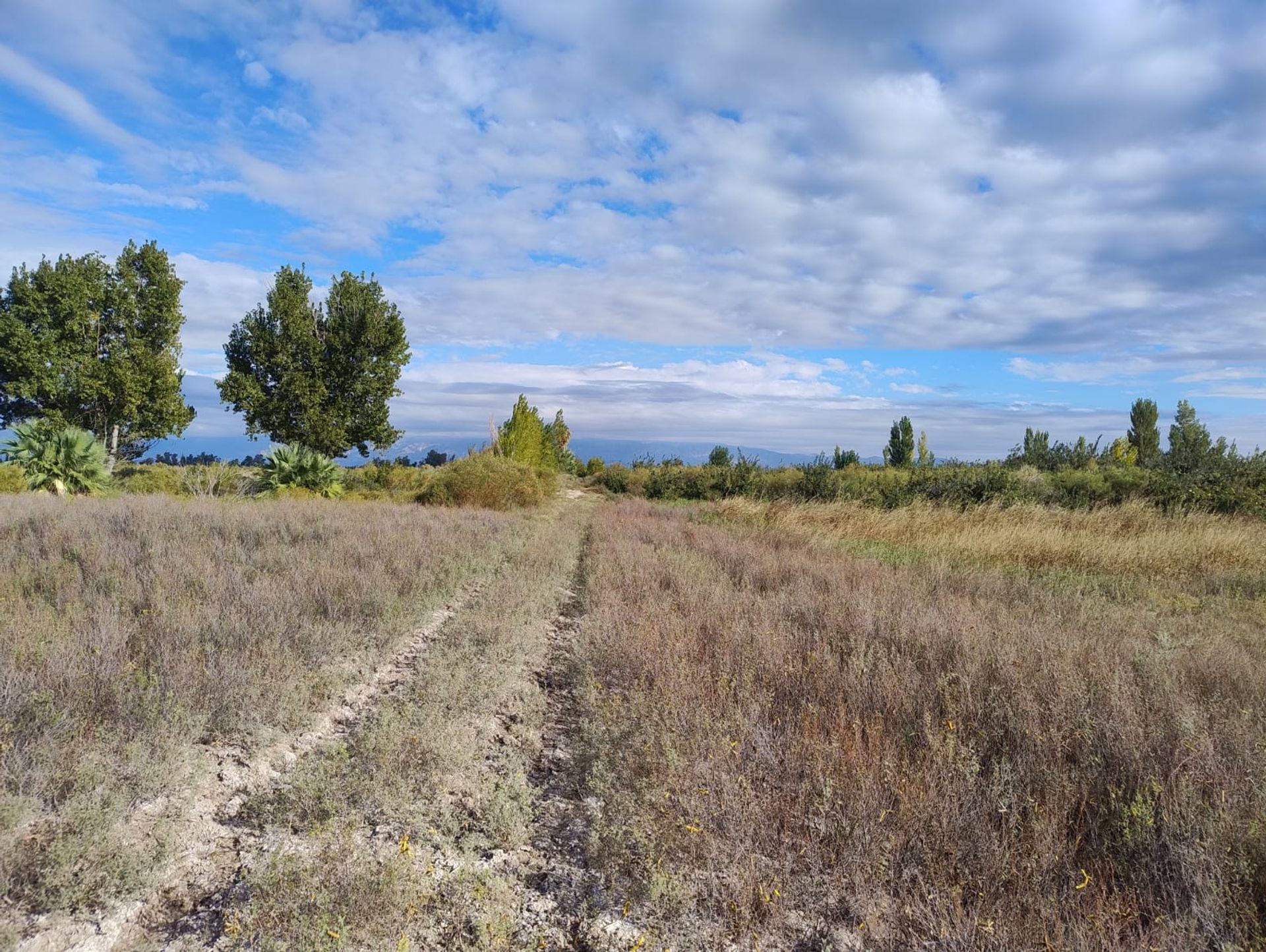 Campo en Venta en 25 de Mayo, San Juan
