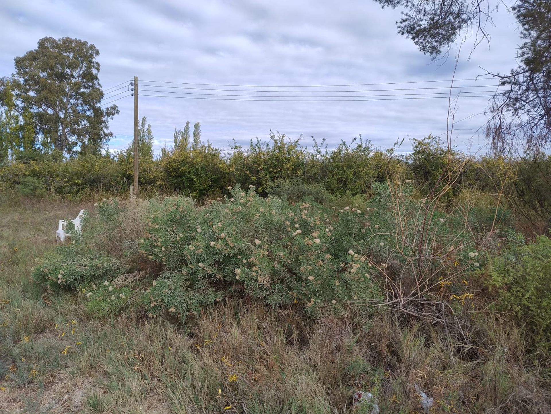 Campo en Venta en 25 de Mayo, San Juan